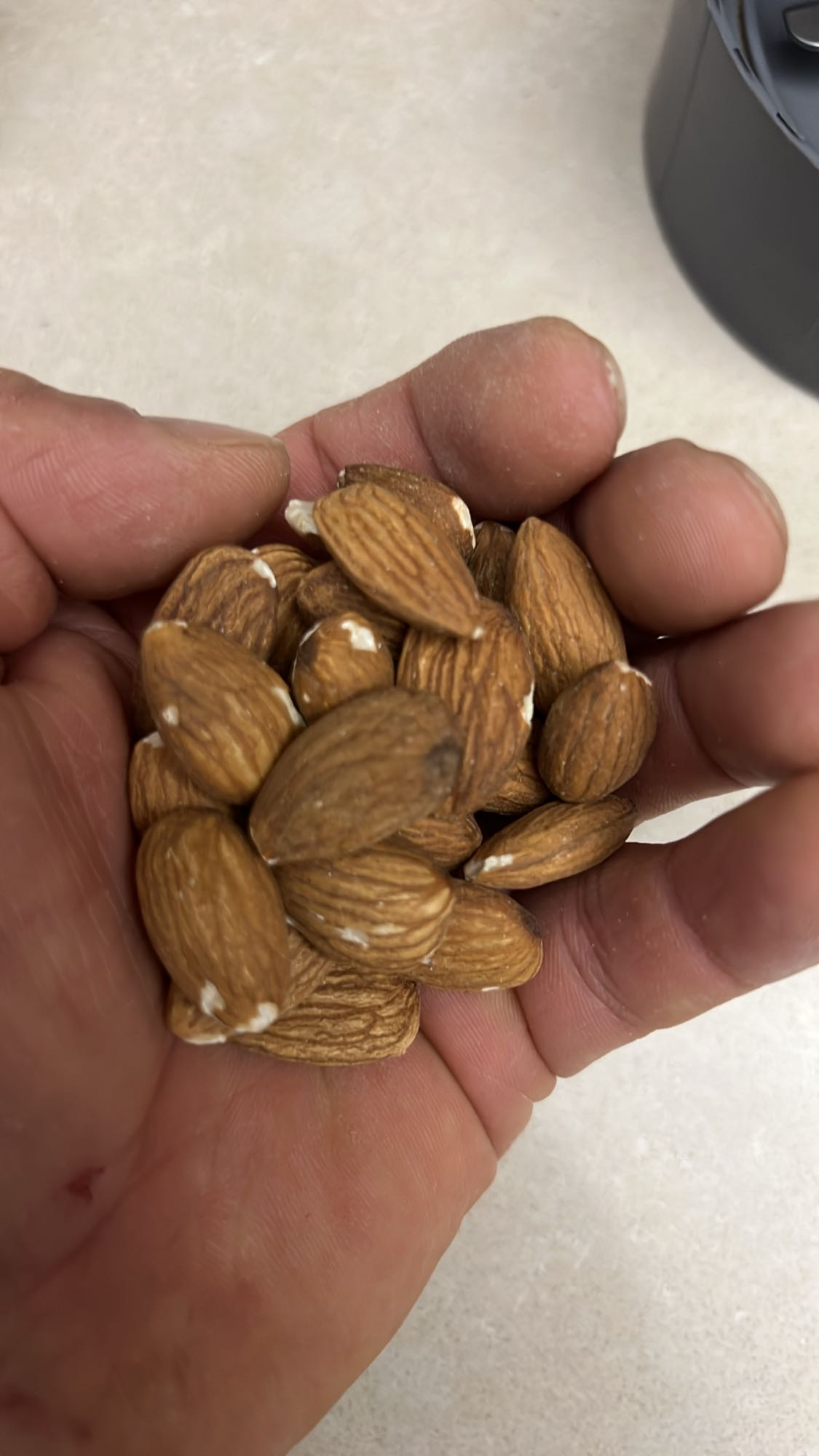 Handful of Almonds