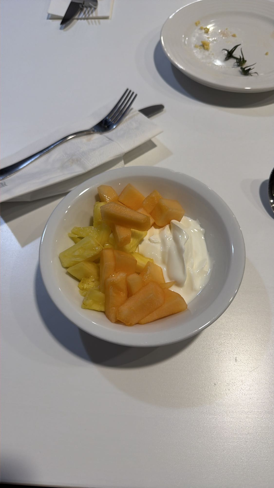 Yoğurtlu meyve kasesi