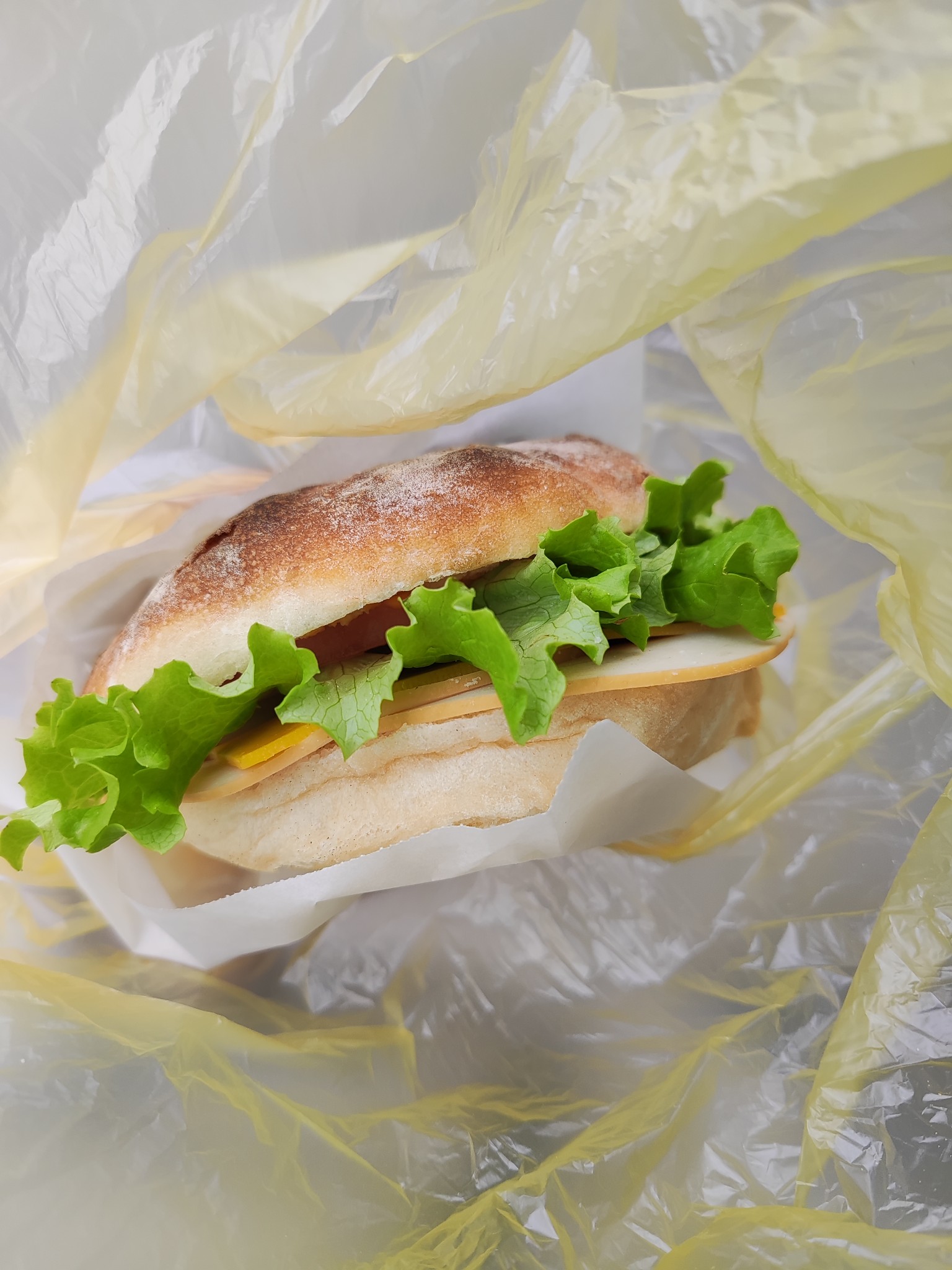 Cheese Lettuce Sandwich