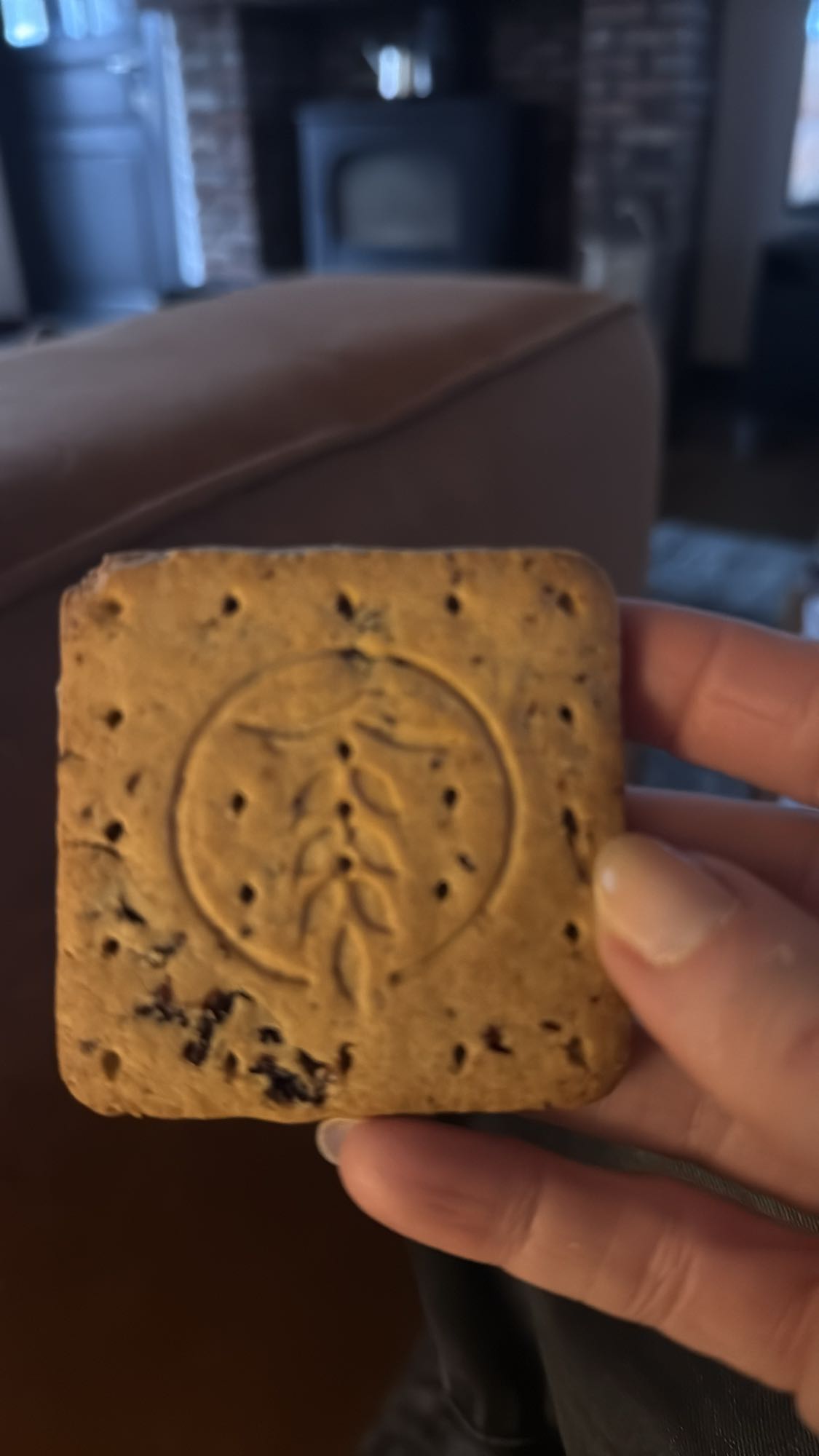 Haverkoekje met rozijnen