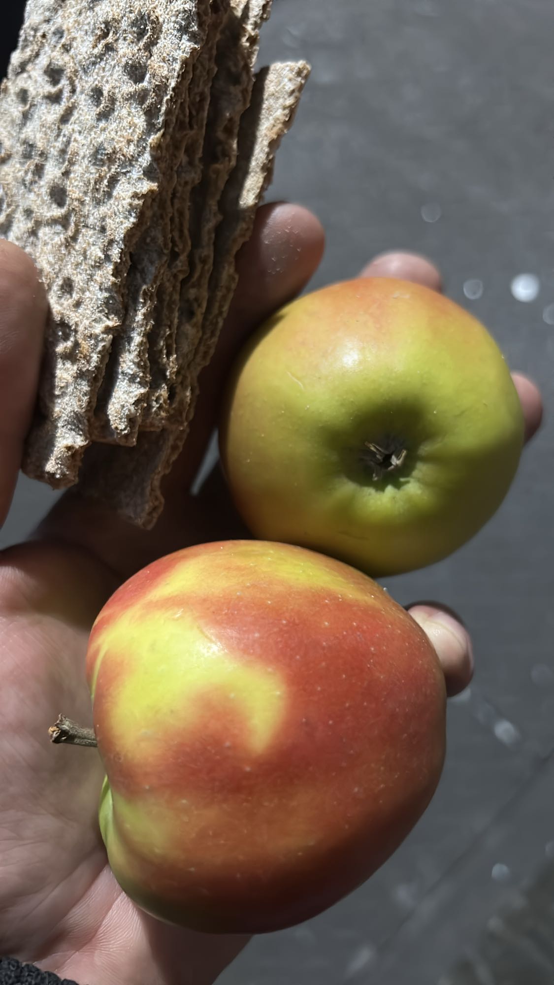 Manzanas y pan crujiente