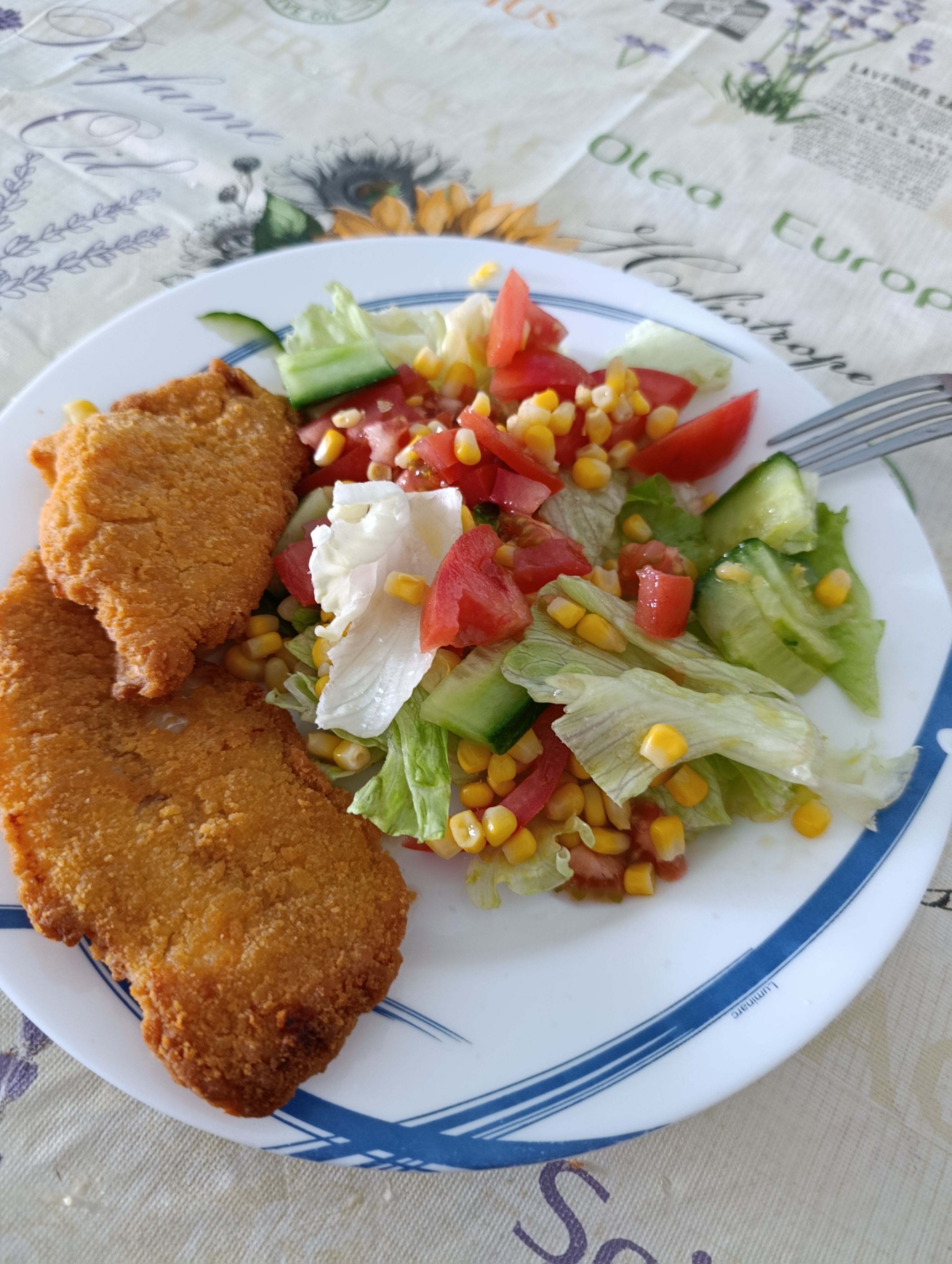 Filete empanizado con ensalada
