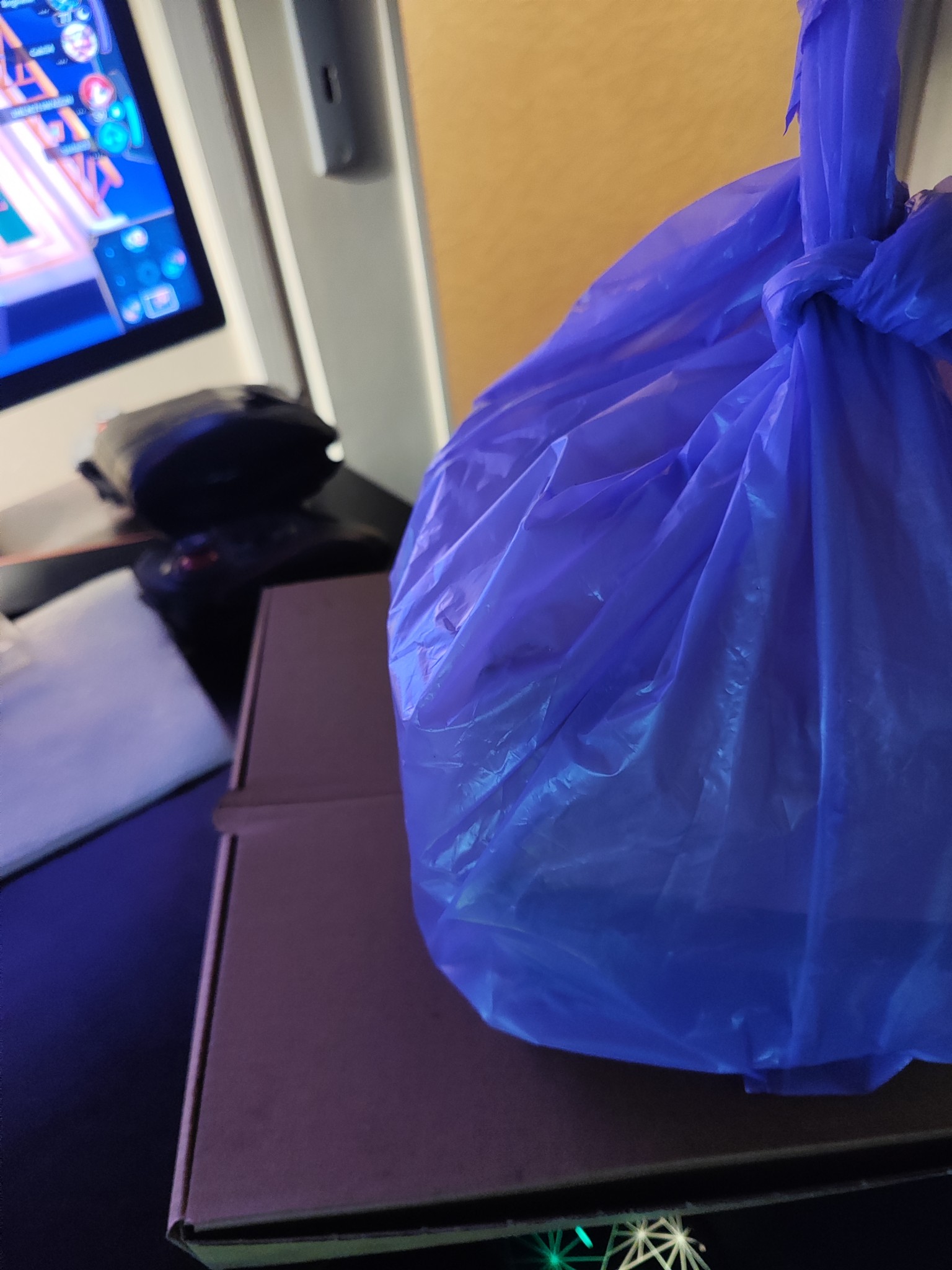 Unknown (bagged item)