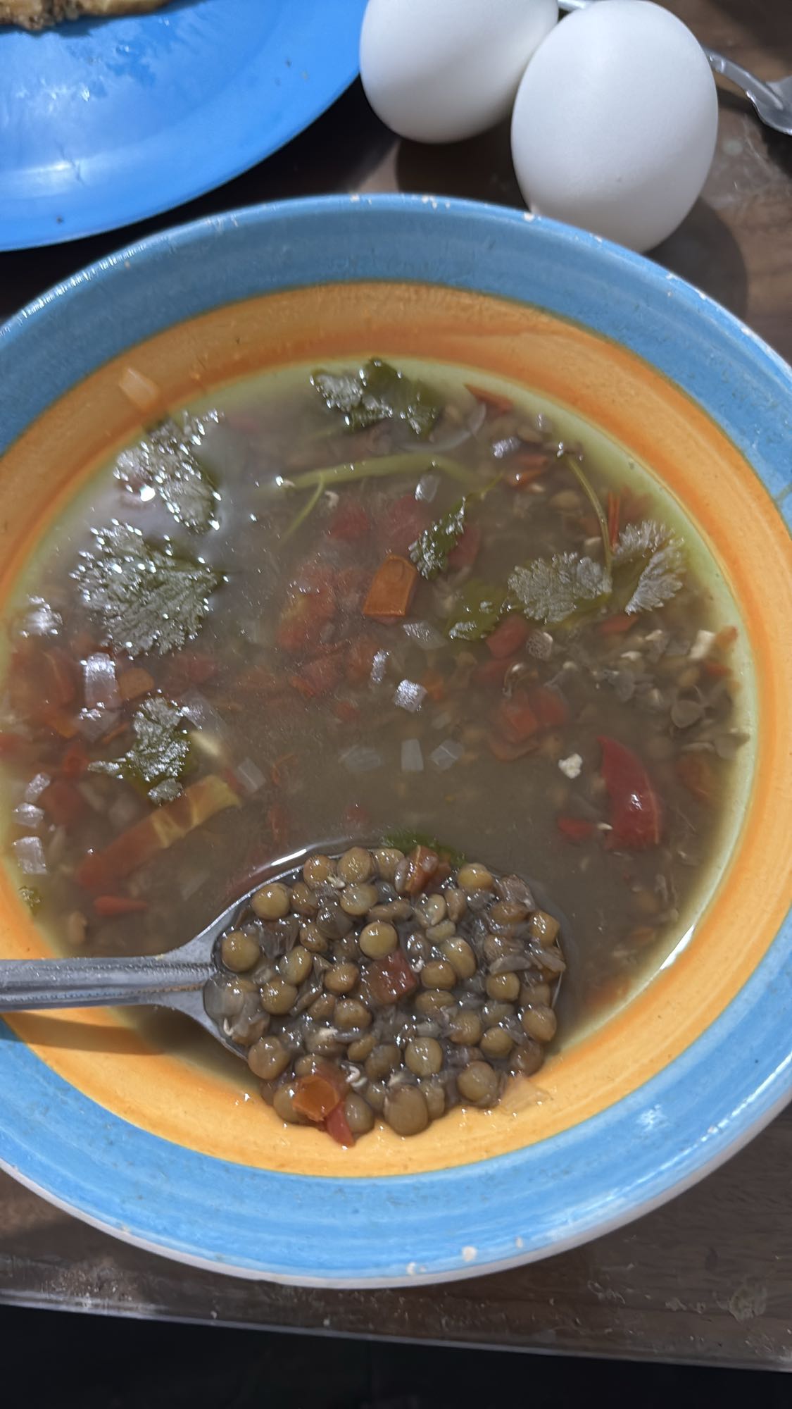 Sopa de lentejas