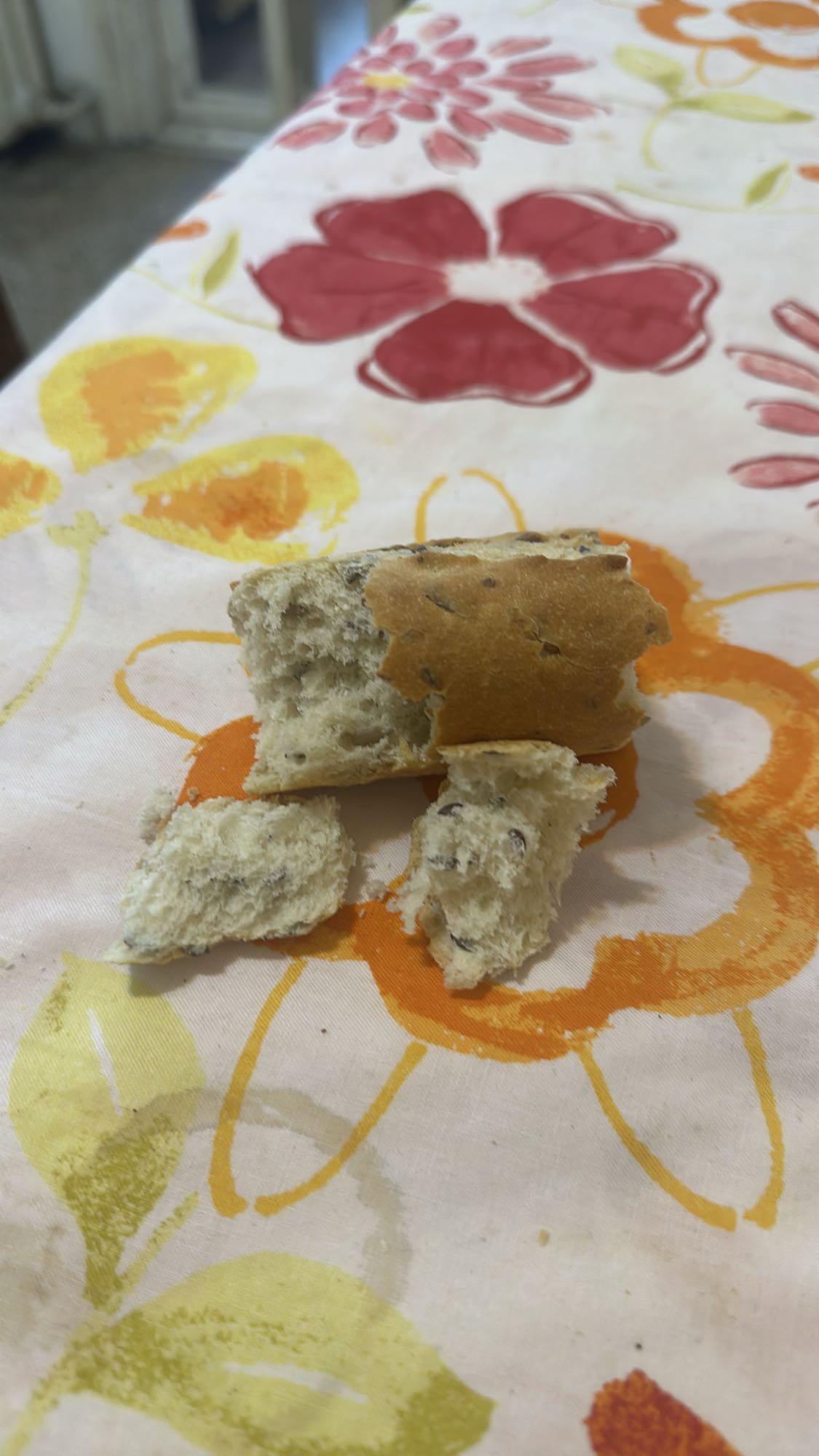 Seeded bread piece