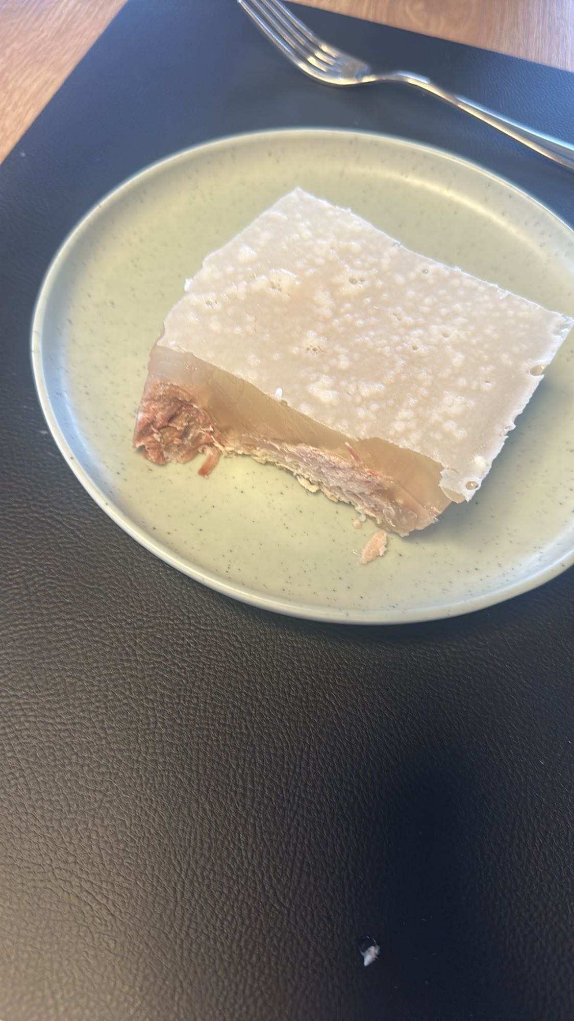 meat jelly aspic slice