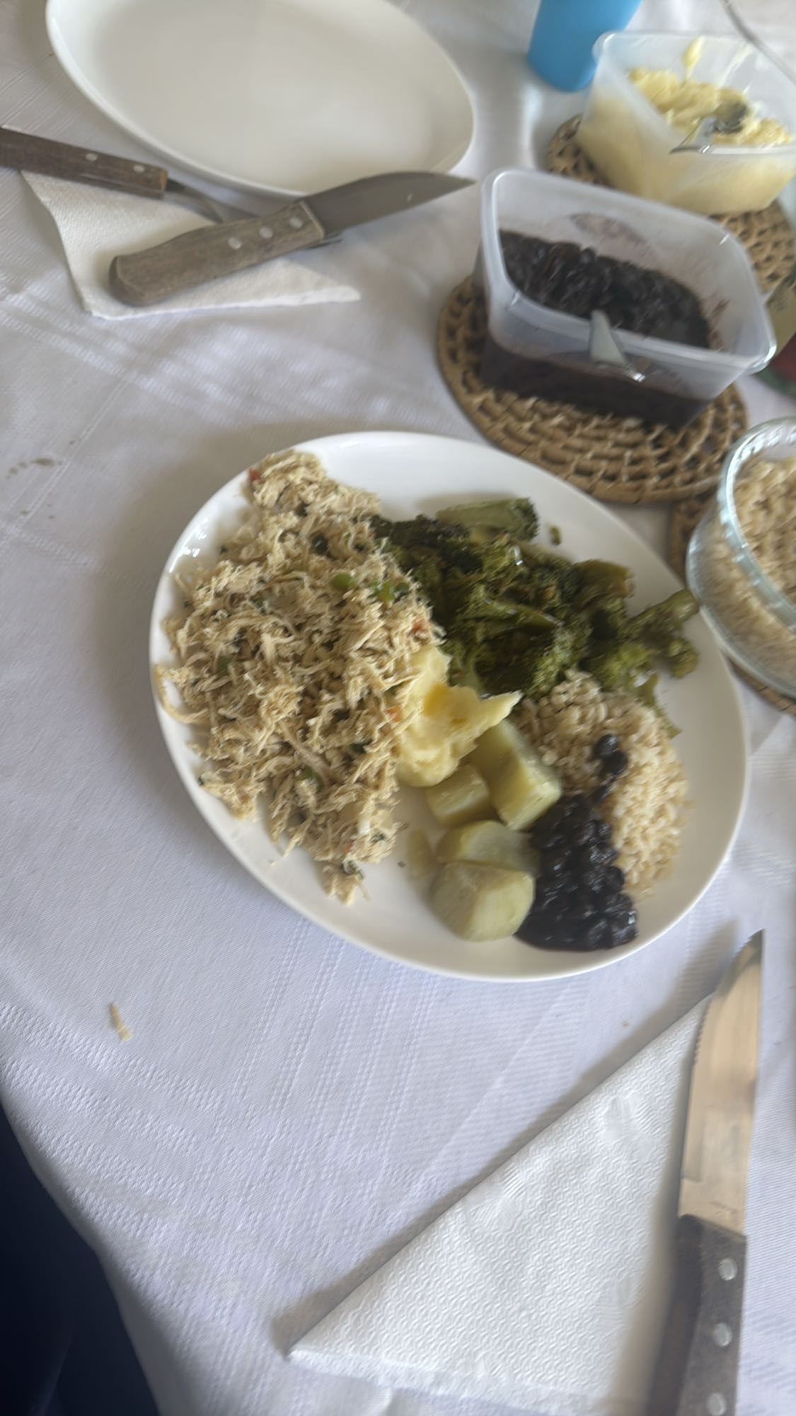 Prato caseiro saudável