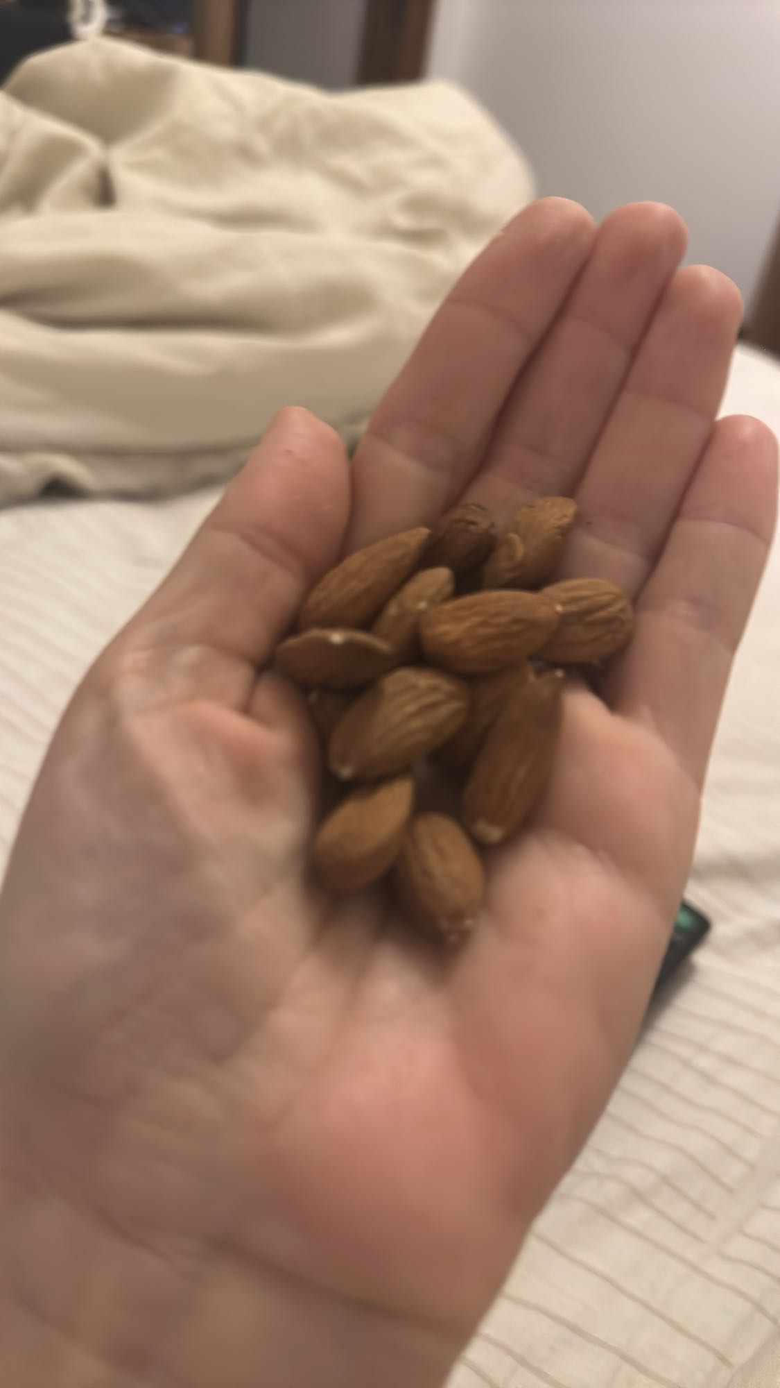 Handful of Almonds