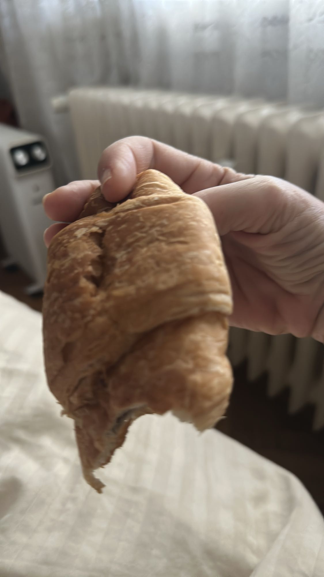 Plain Croissant