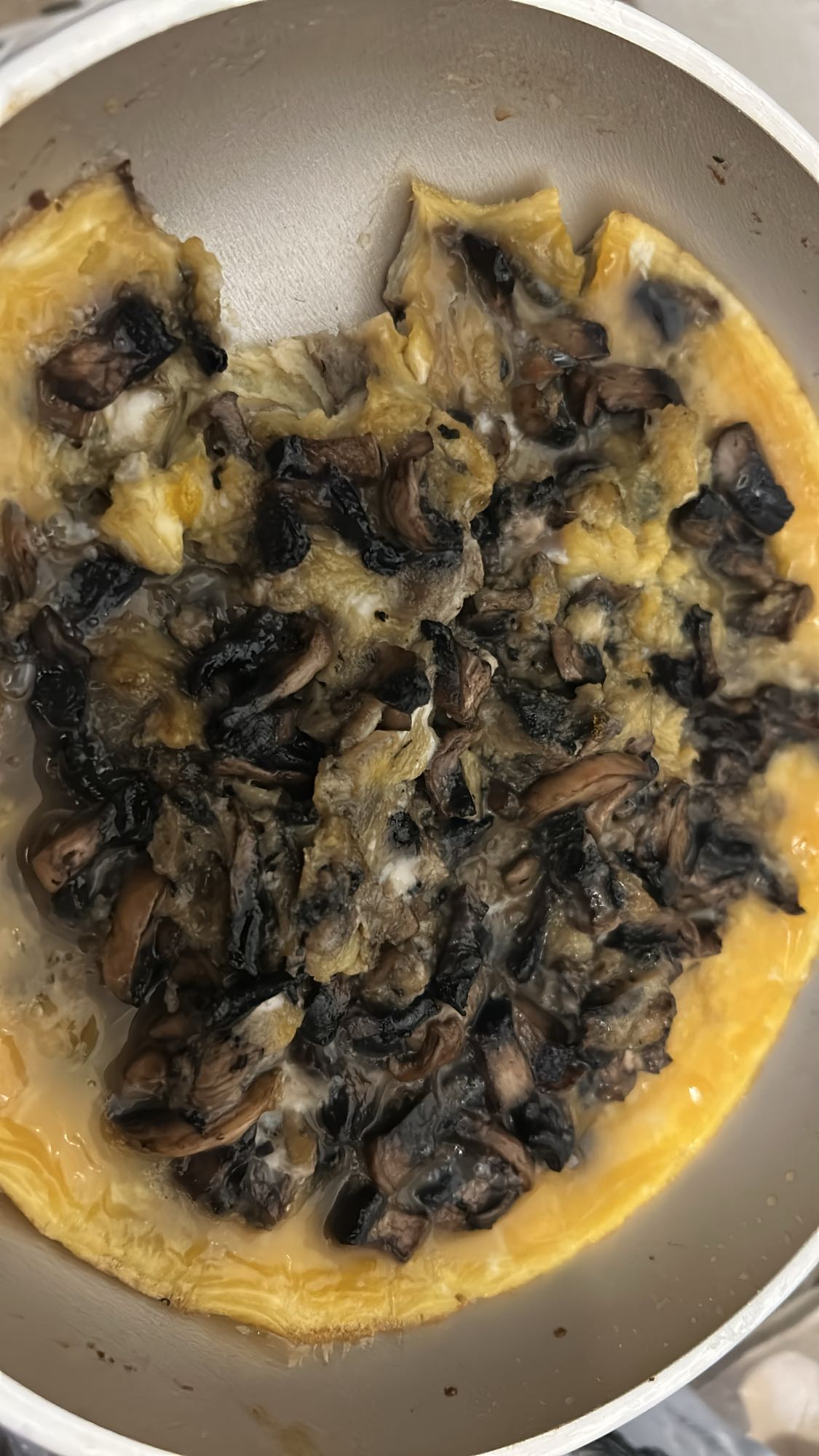 Omelette aux champignons
