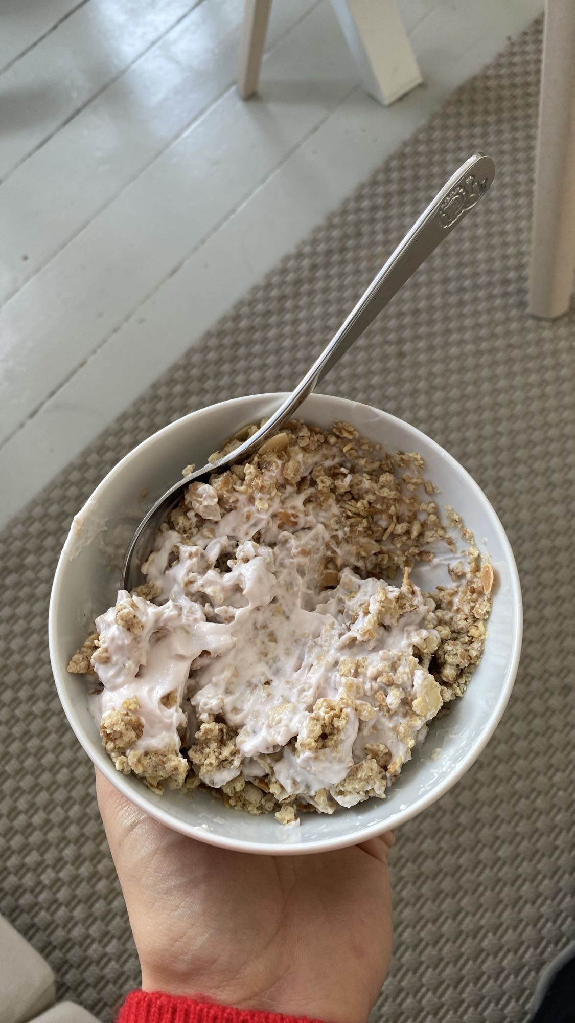 Yoghurt og müsli skål