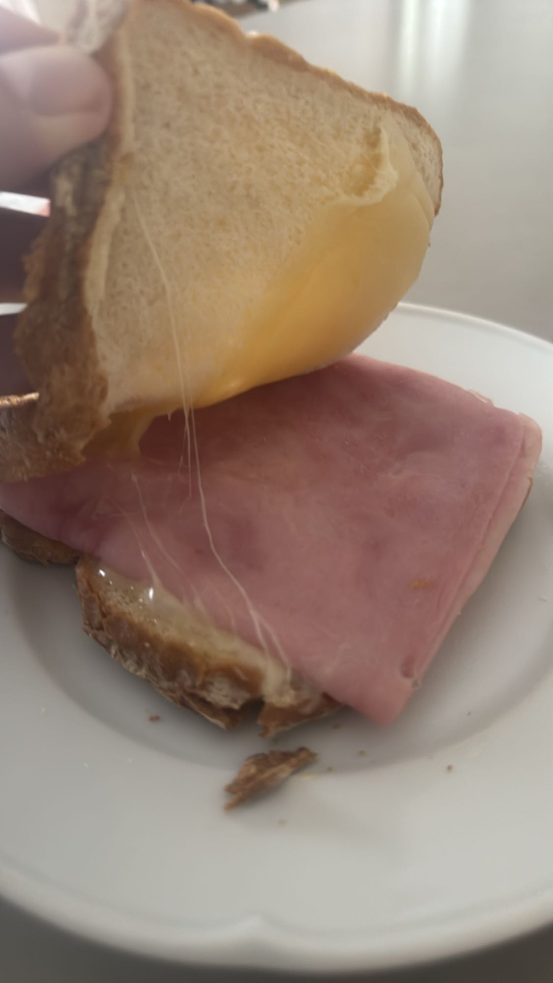 Sándwich de jamón y queso