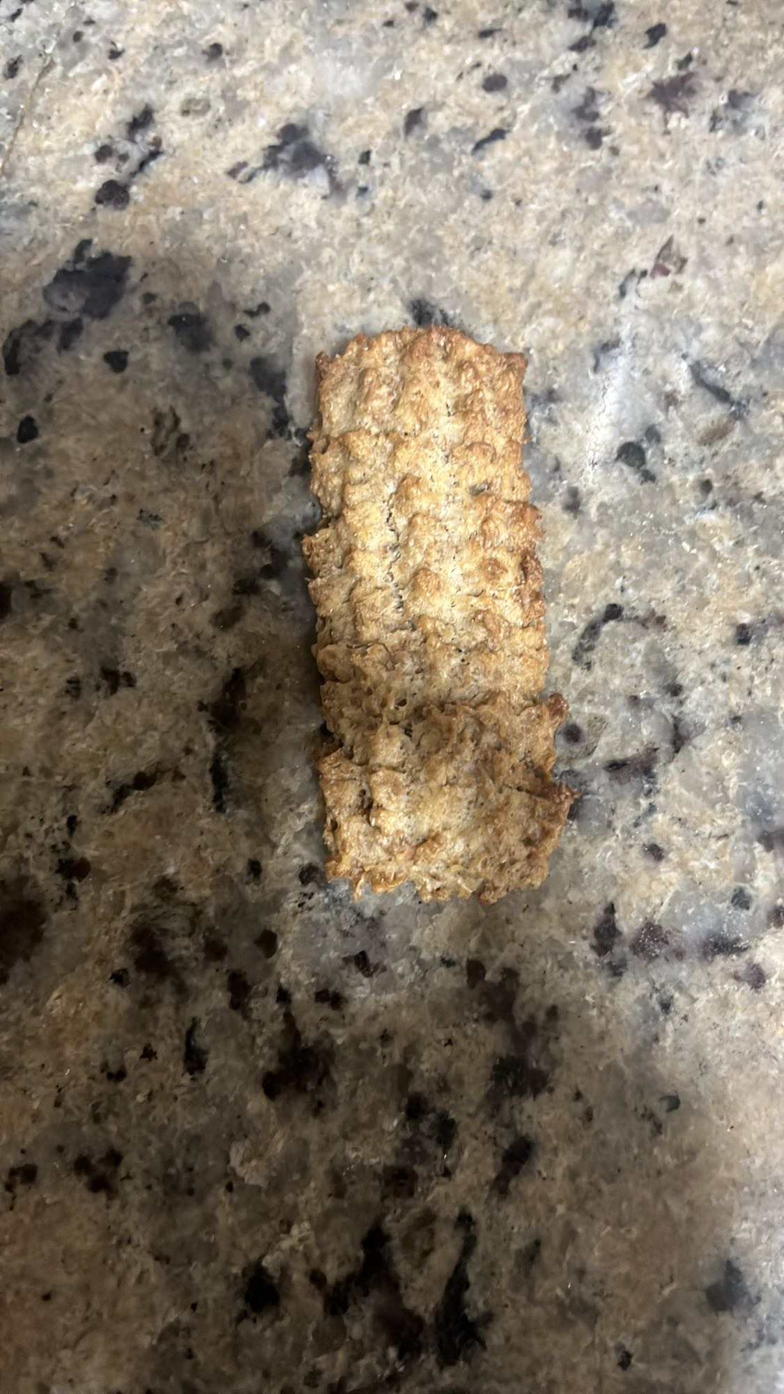 galleta de avena simple