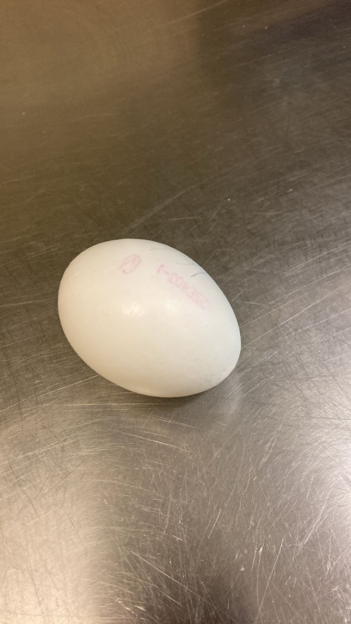 Kokt ägg