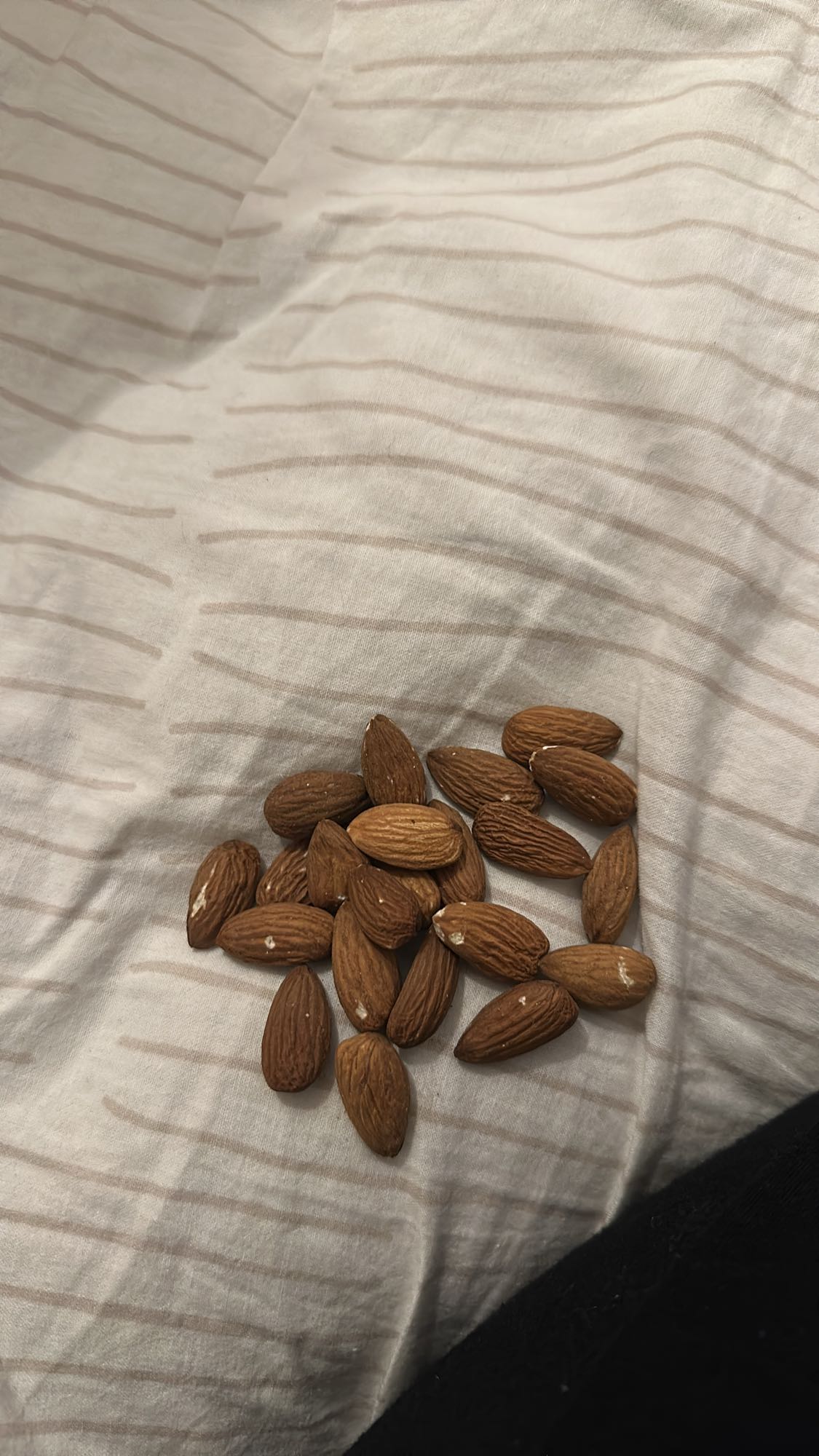 Raw Almond Snack