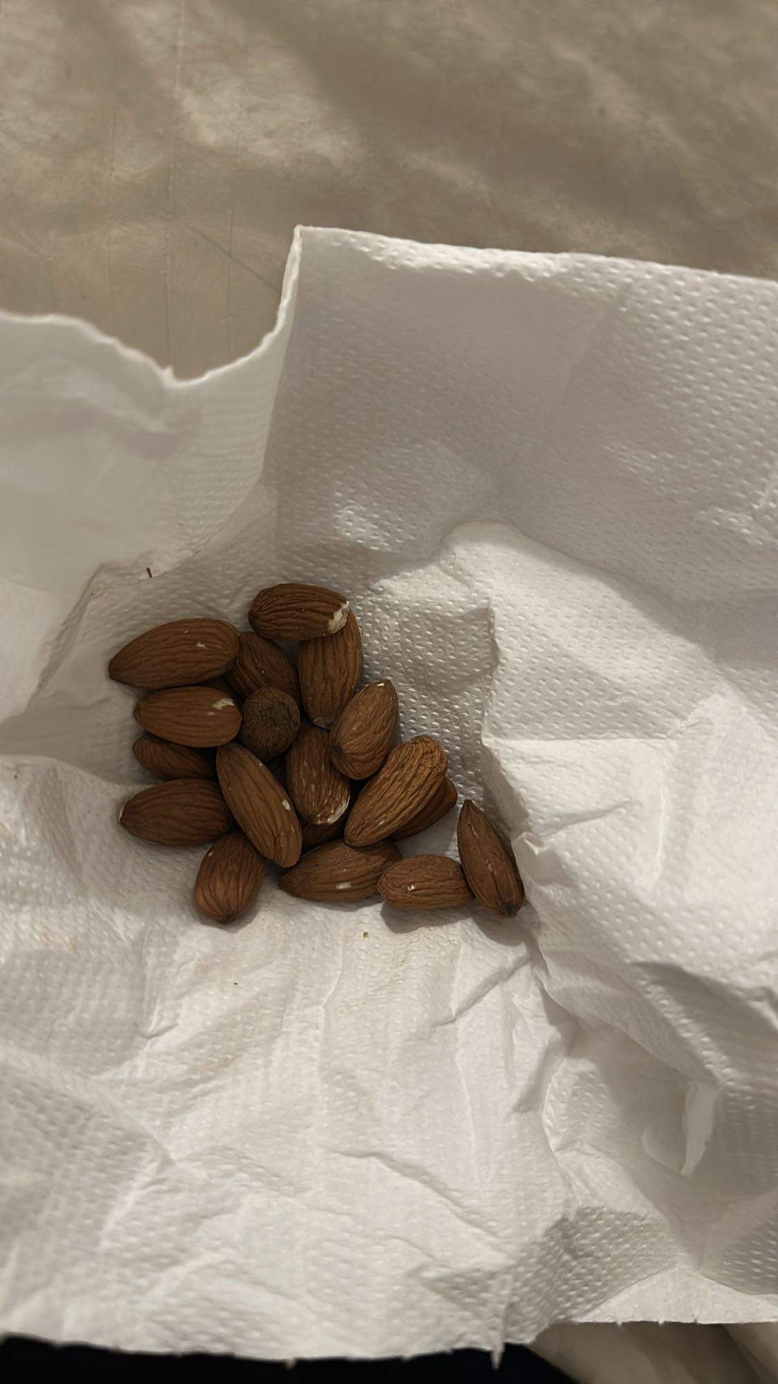 Raw Almond Snack