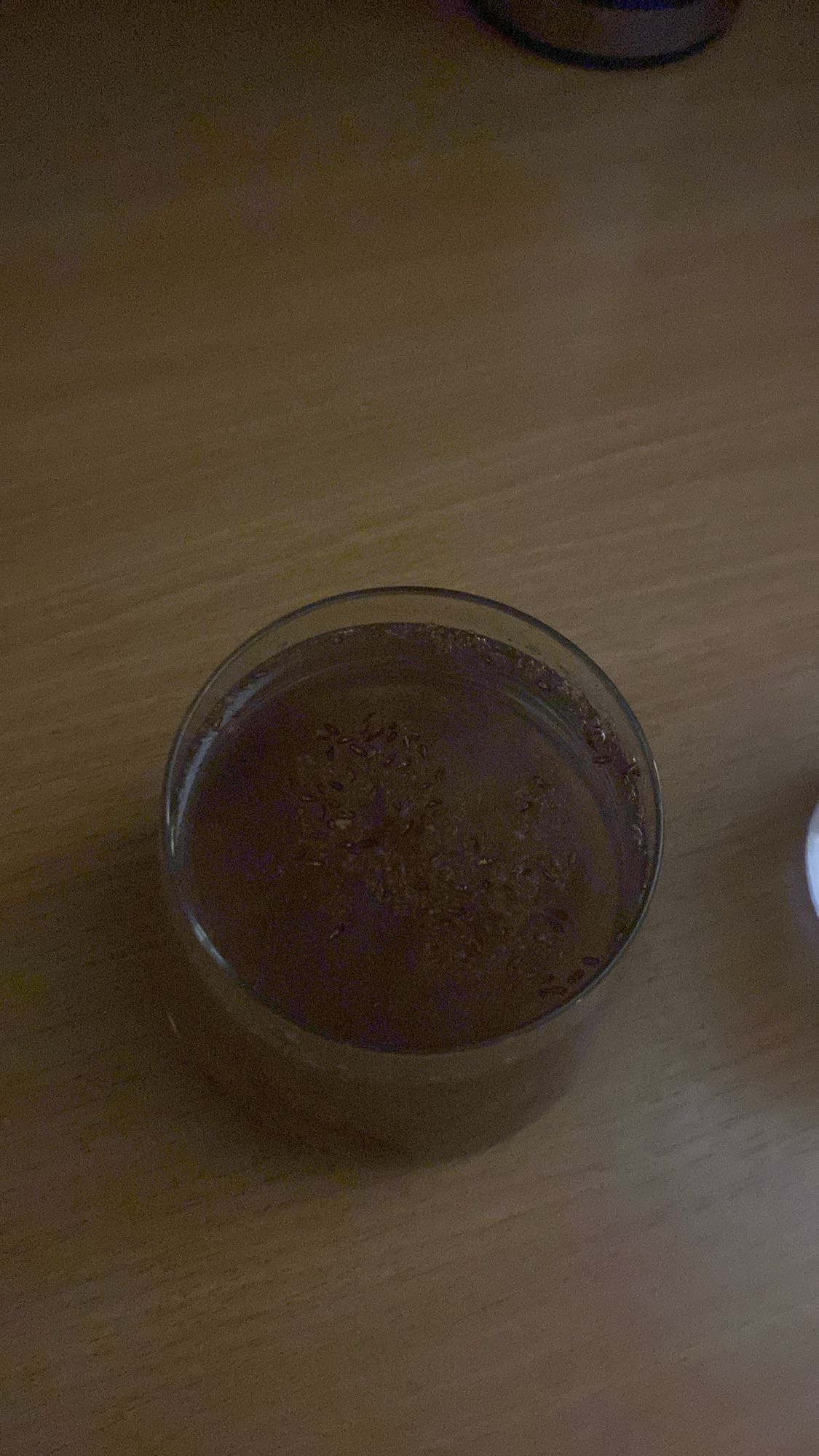 szklanka kakao na wodzie