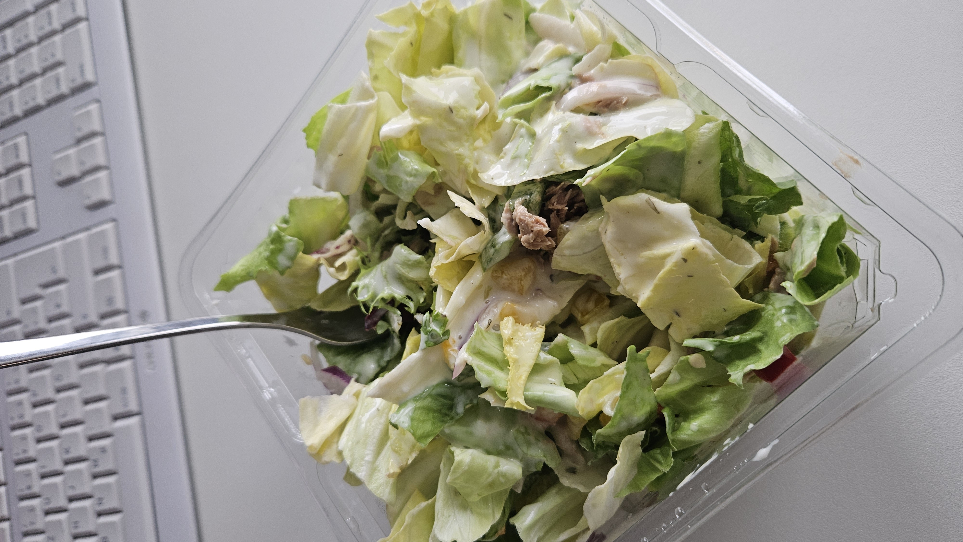 Gemischter Salat mit Thunfisch