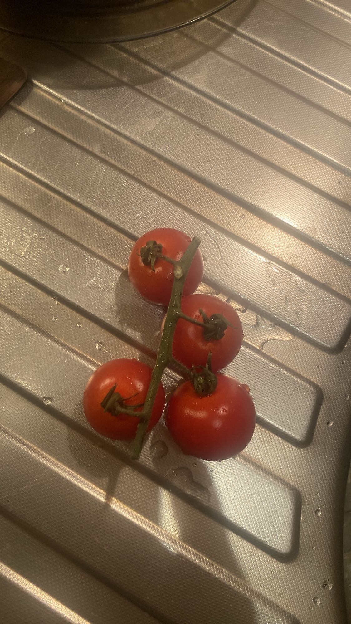 Świeże pomidory na gałązce