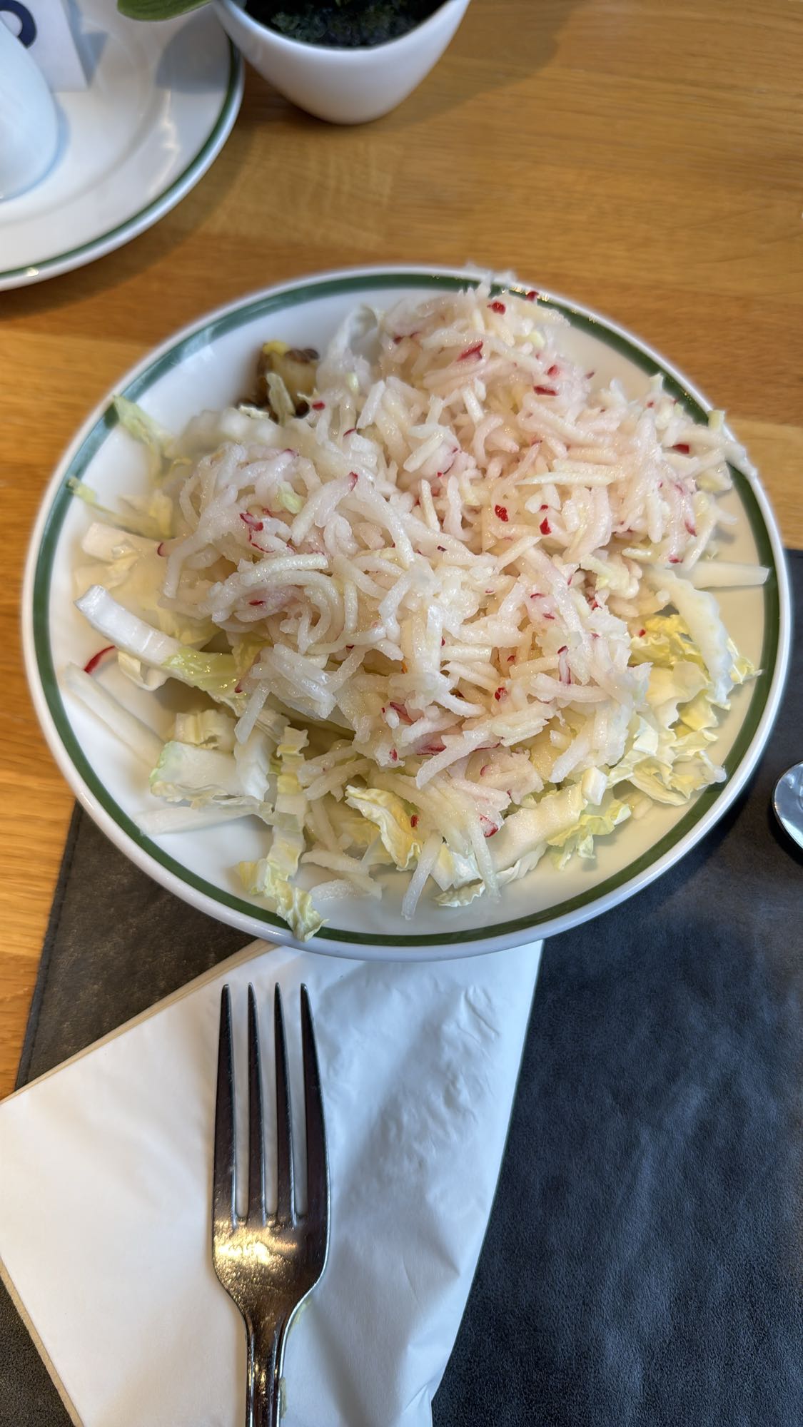 Radijs en kool salade