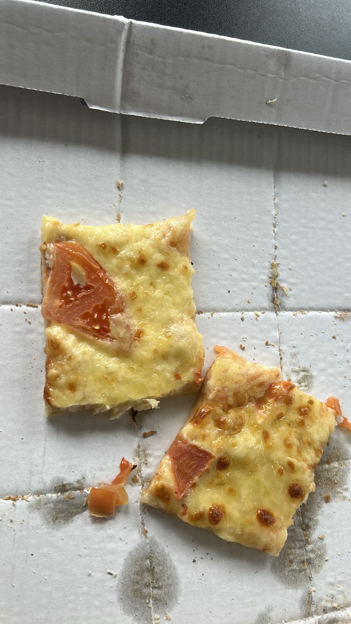 pizza de queso y tomate