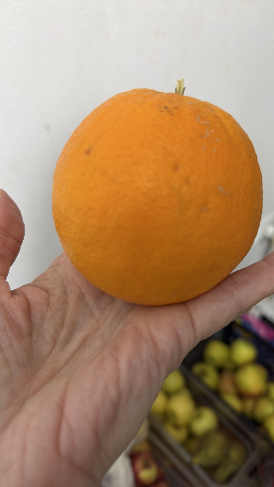 Portocală întreagă