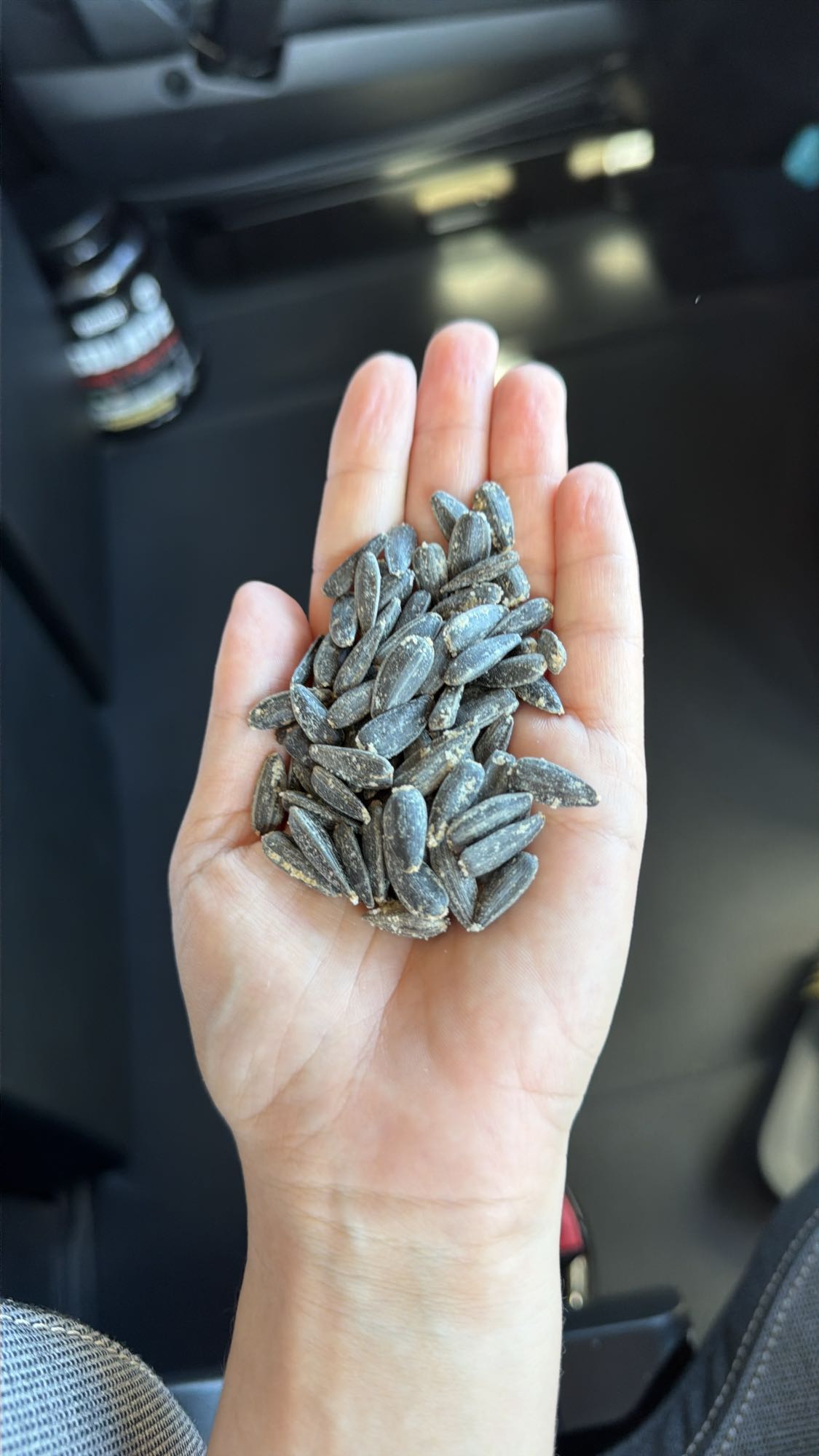 Semințe floarea-soarelui