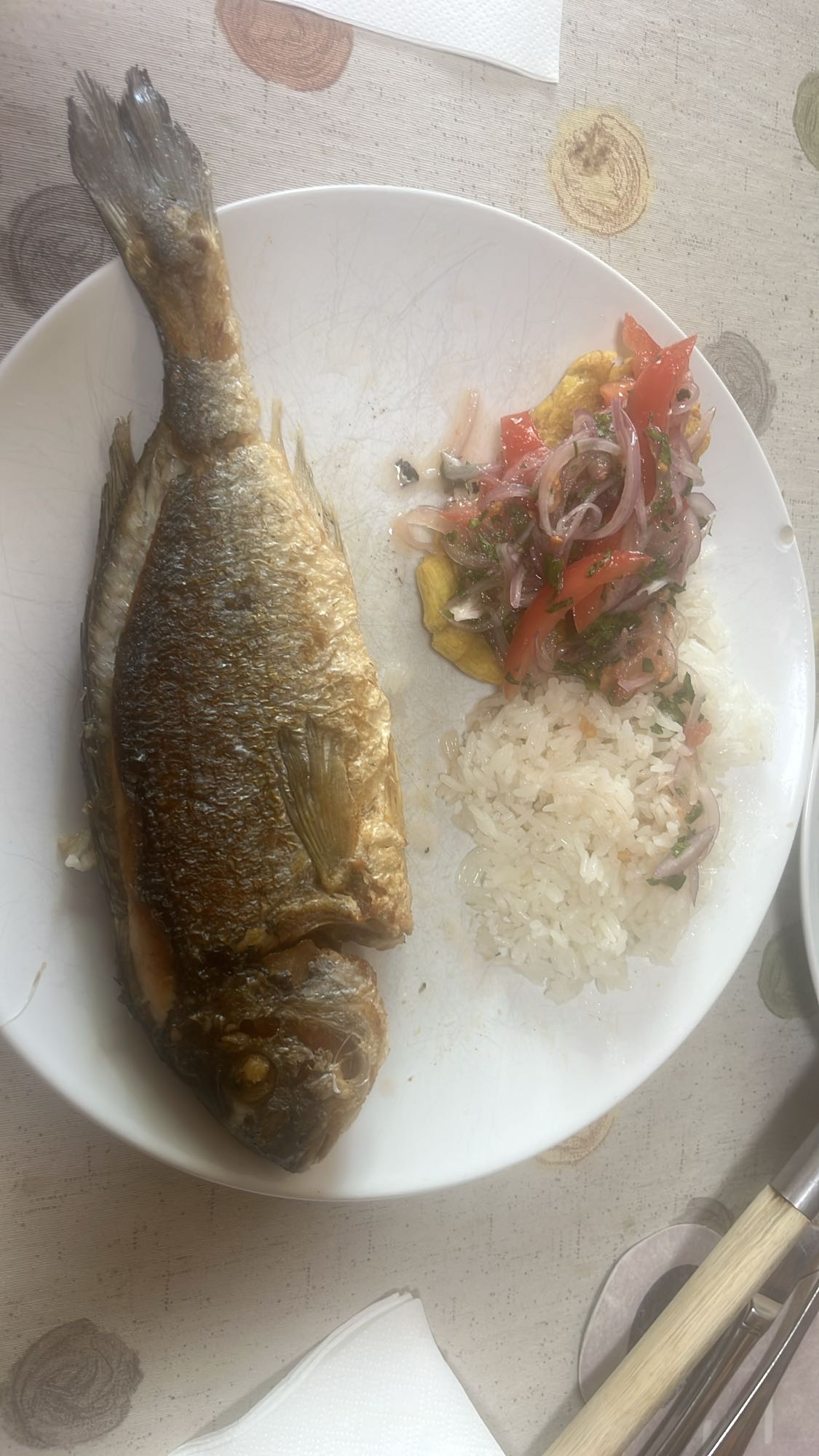 Pescado frito con arroz y ensalada