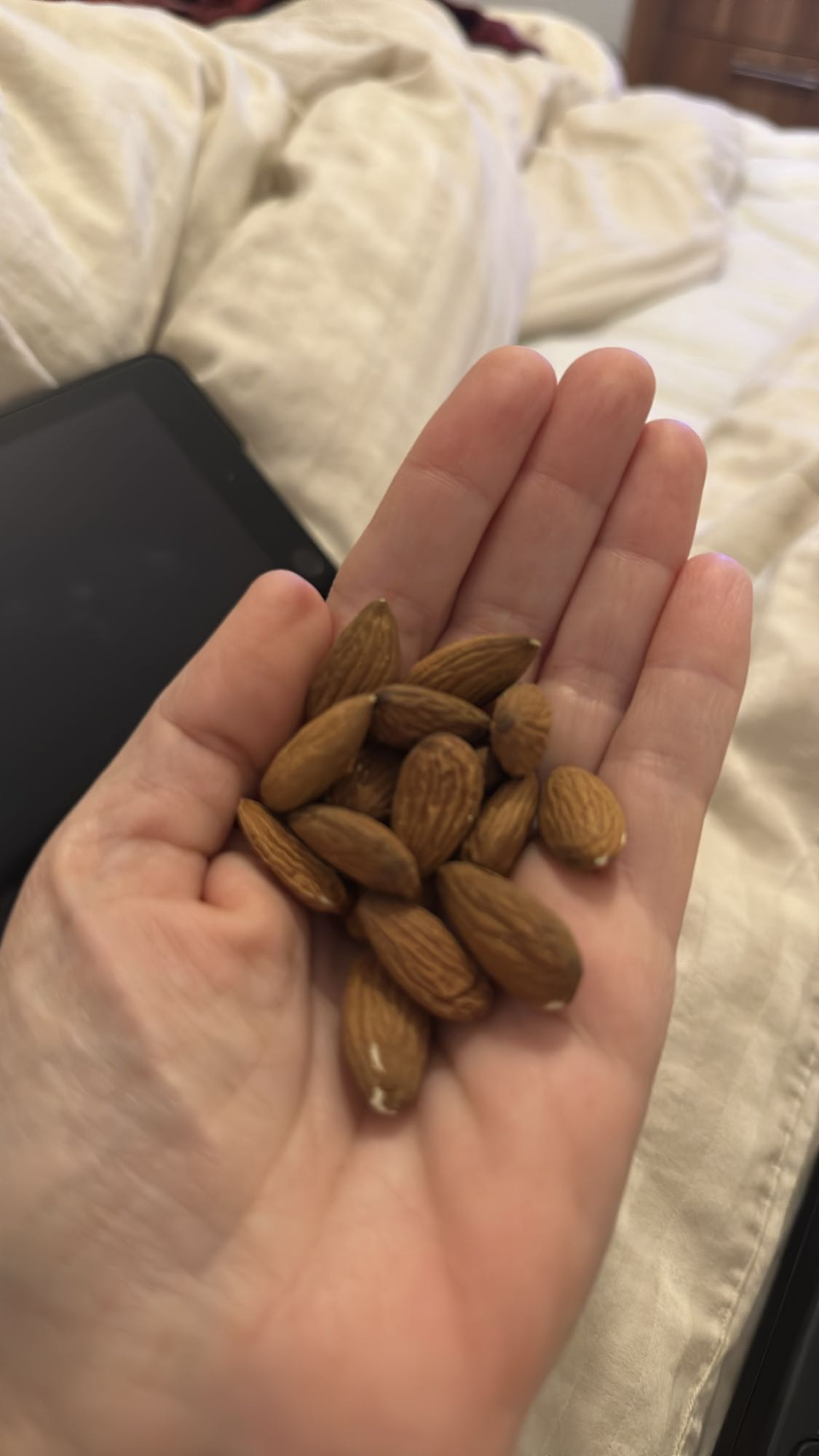 Handful of Almonds