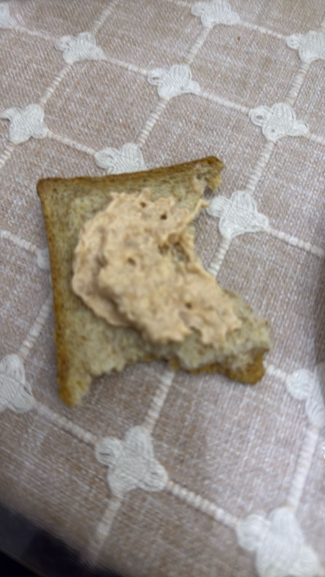 тост с паштетом