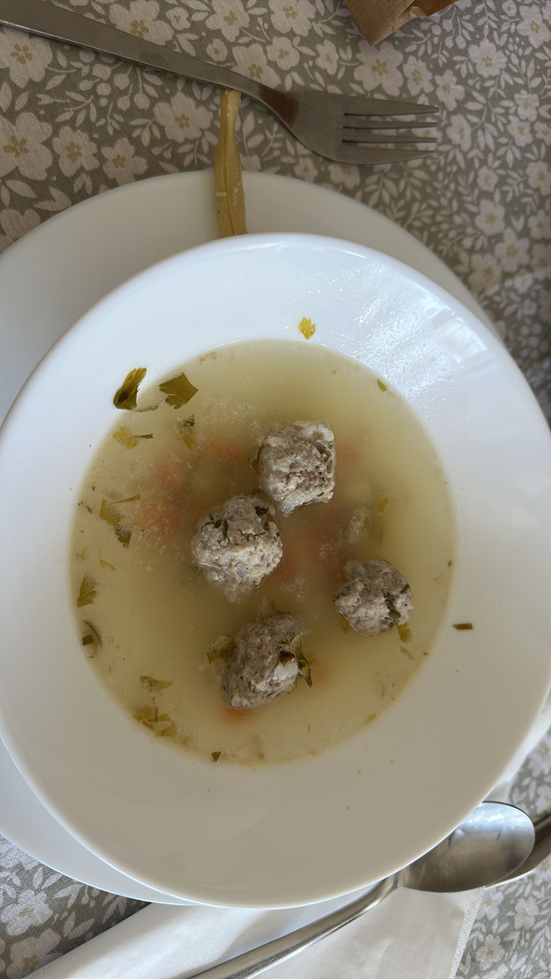 Meatball Soup