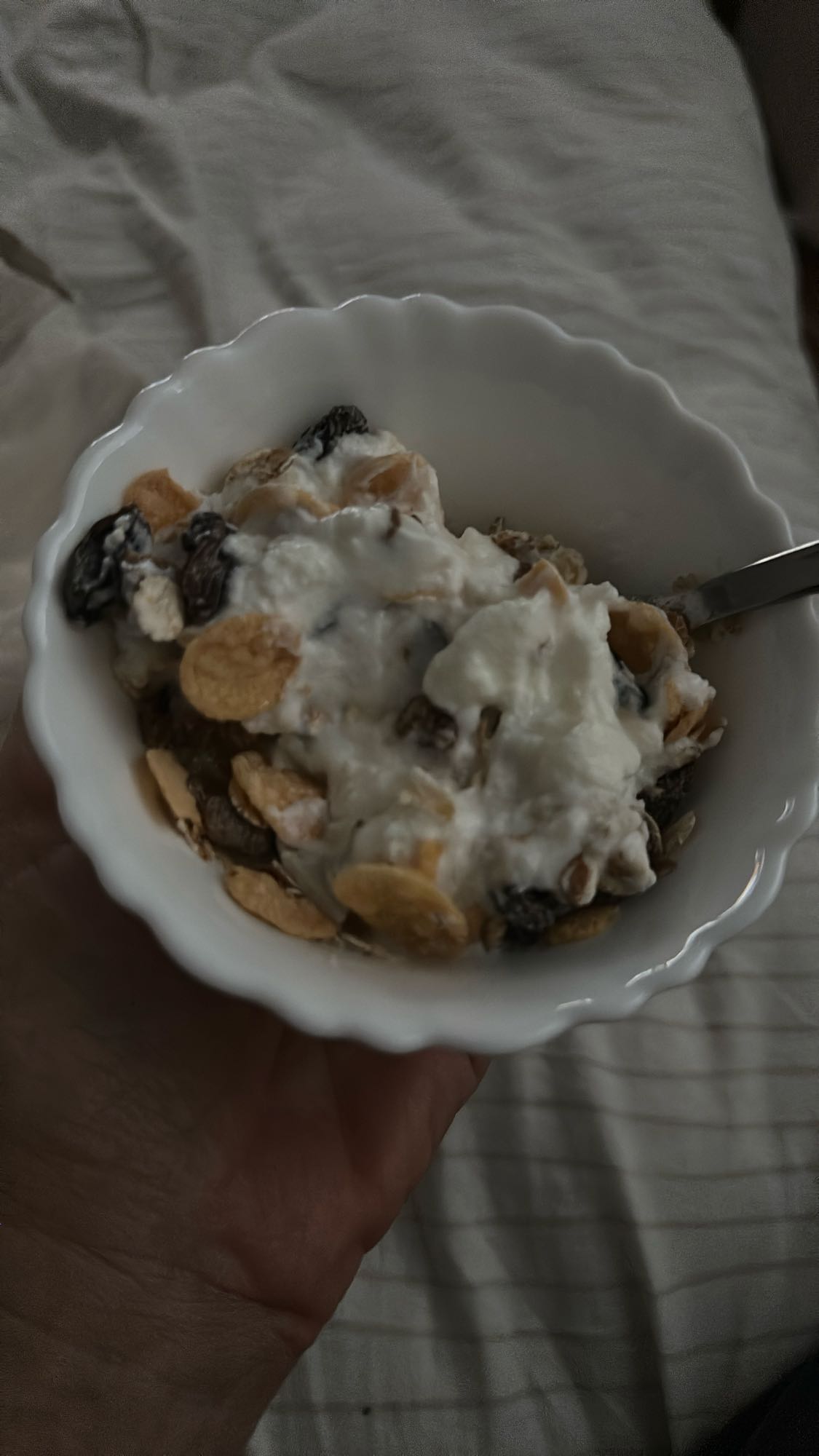 Yogurt muesli bowl