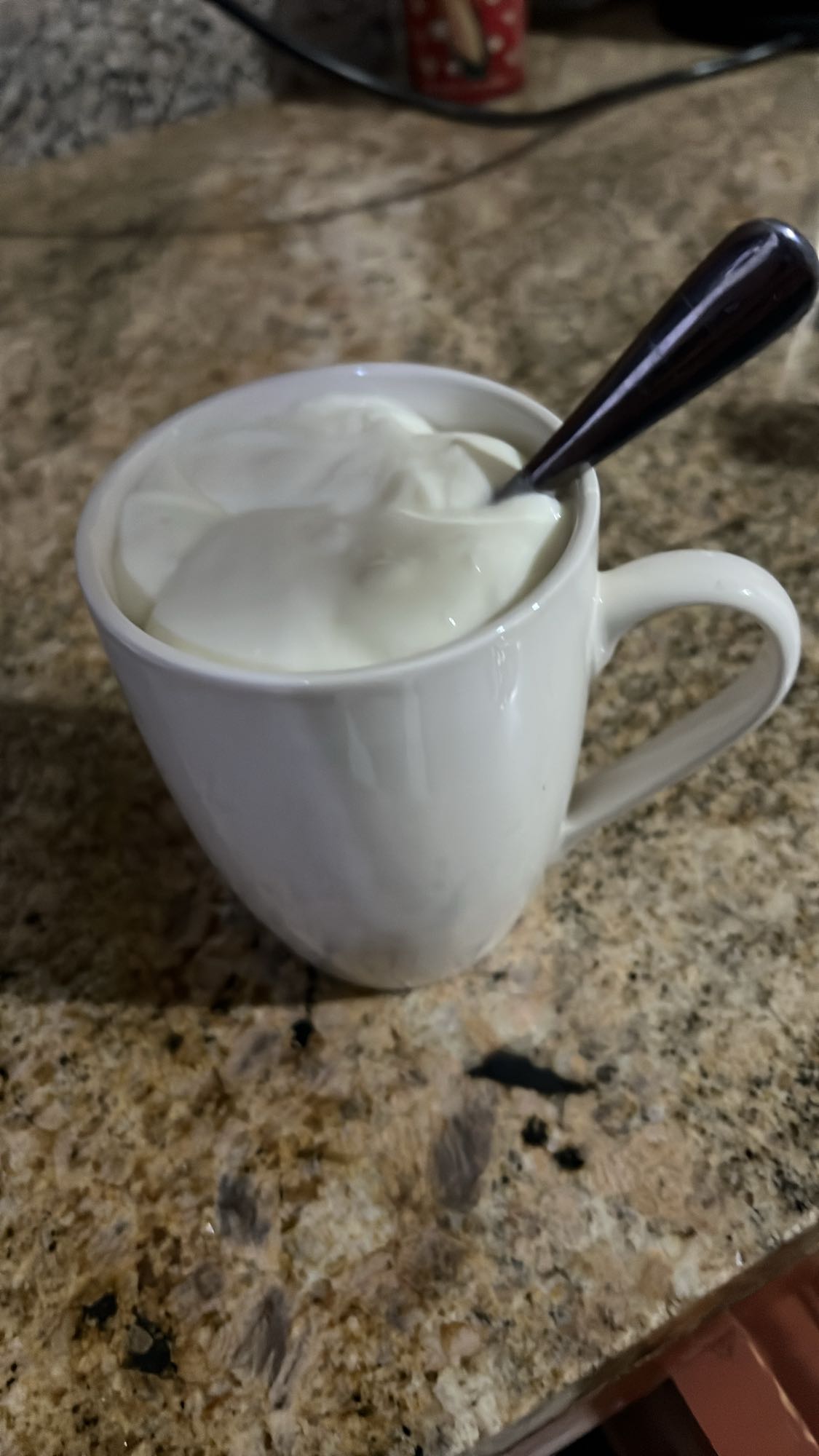 Plain Greek Yogurt Cup