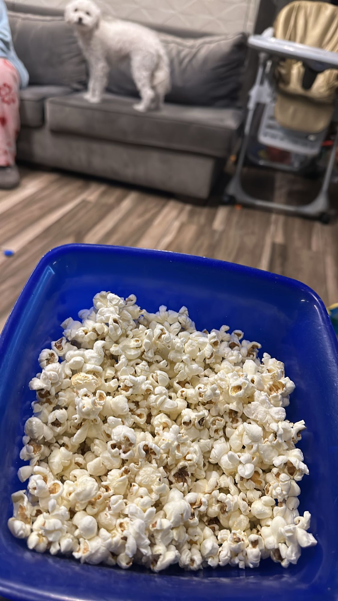Plain Popcorn Snack