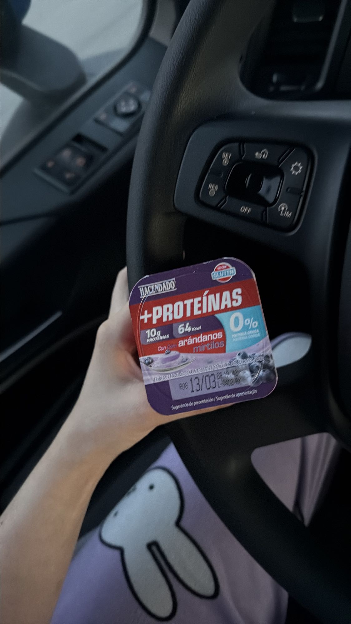 Iaurt proteic cu afine