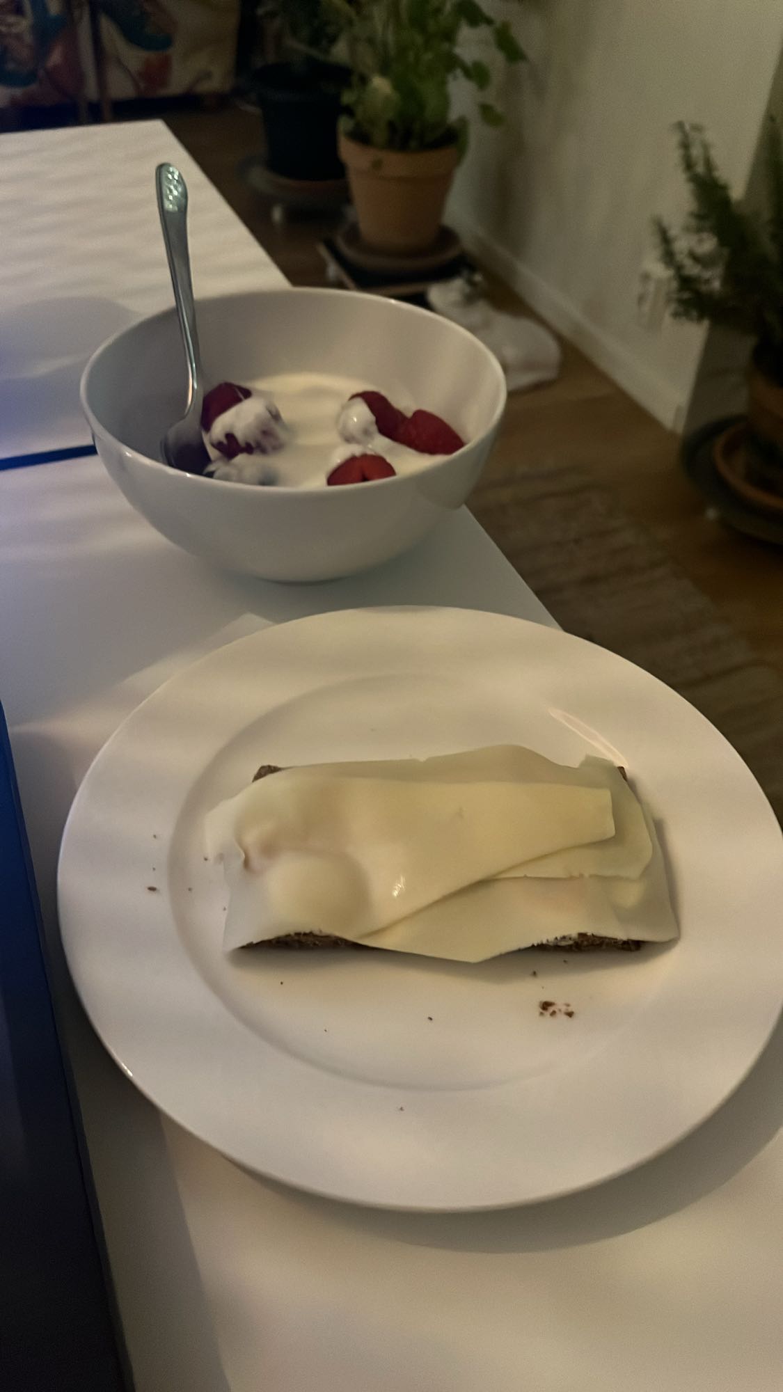 Yoghurt med bär & ostmacka