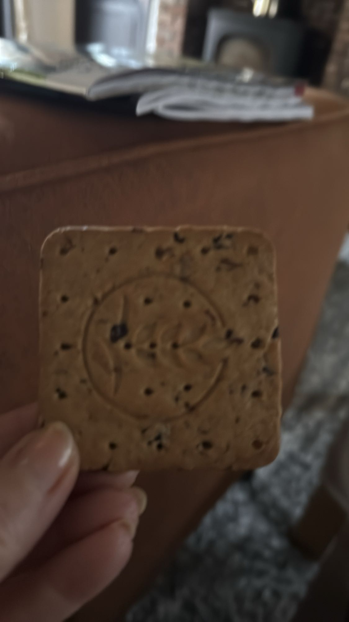 volkoren biscuit