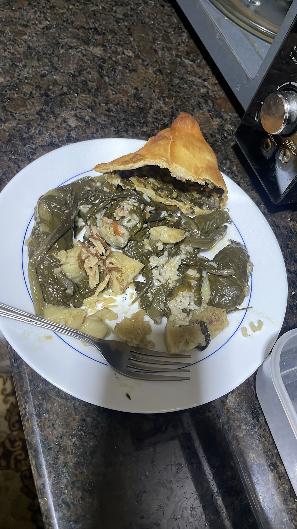 Stuffed grape leaves & pastry