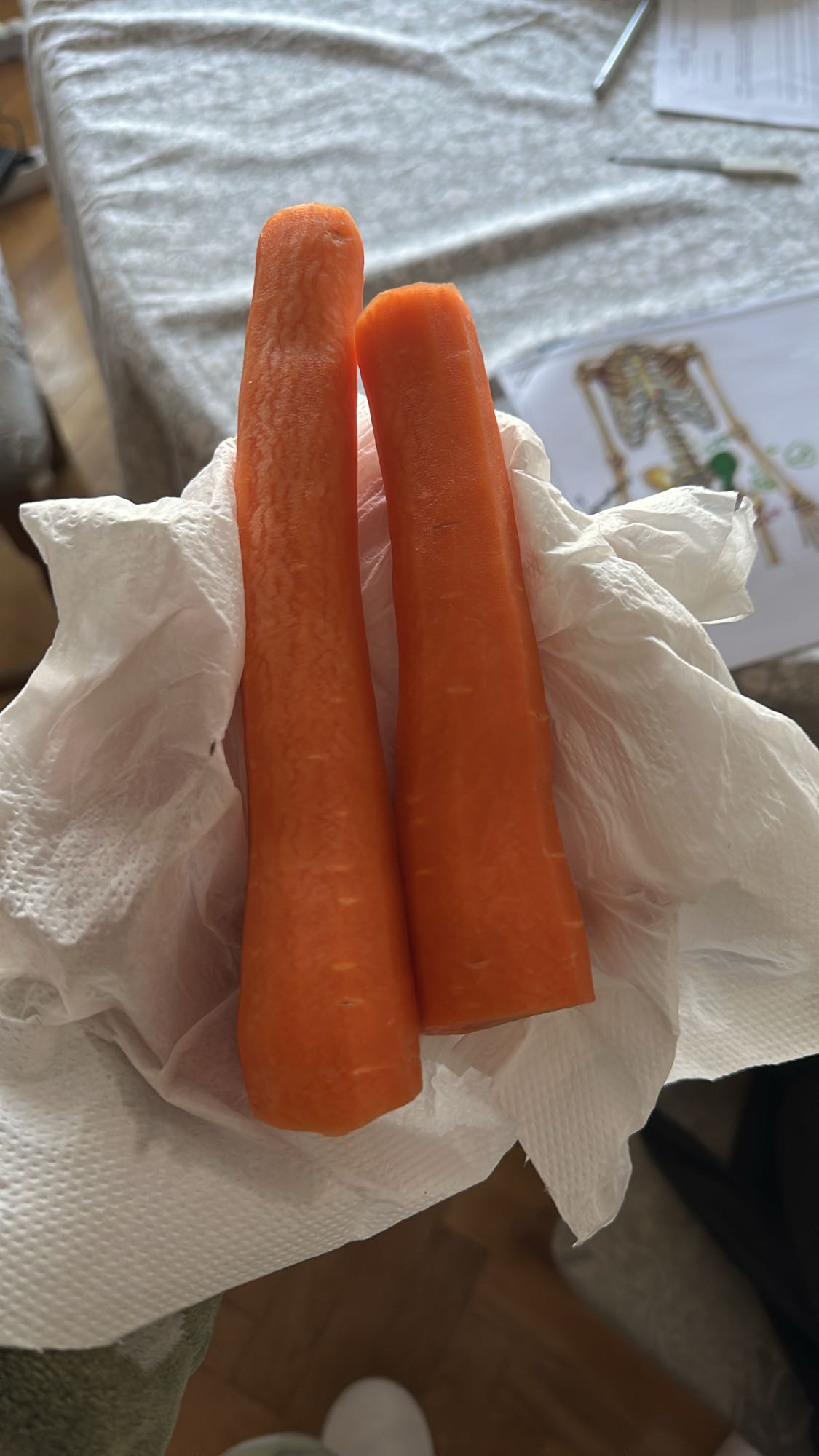 Raw Carrots Snack
