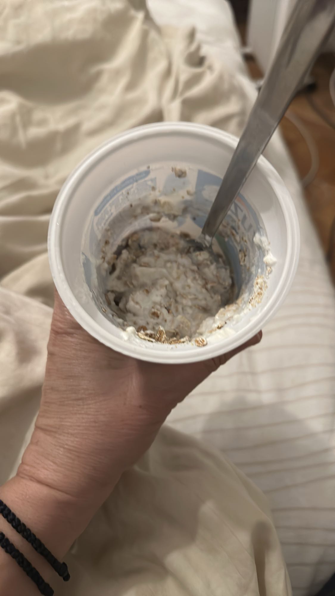 Yogurt with oats