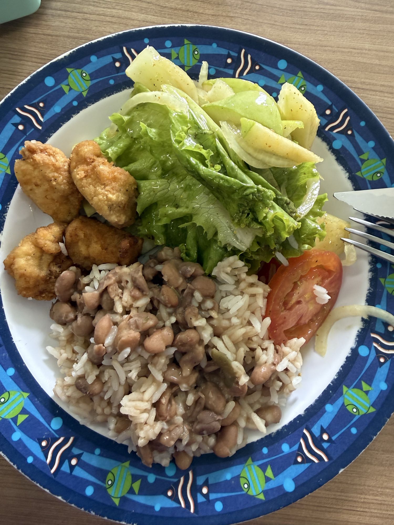 Arroz, feijão, frango e salada
