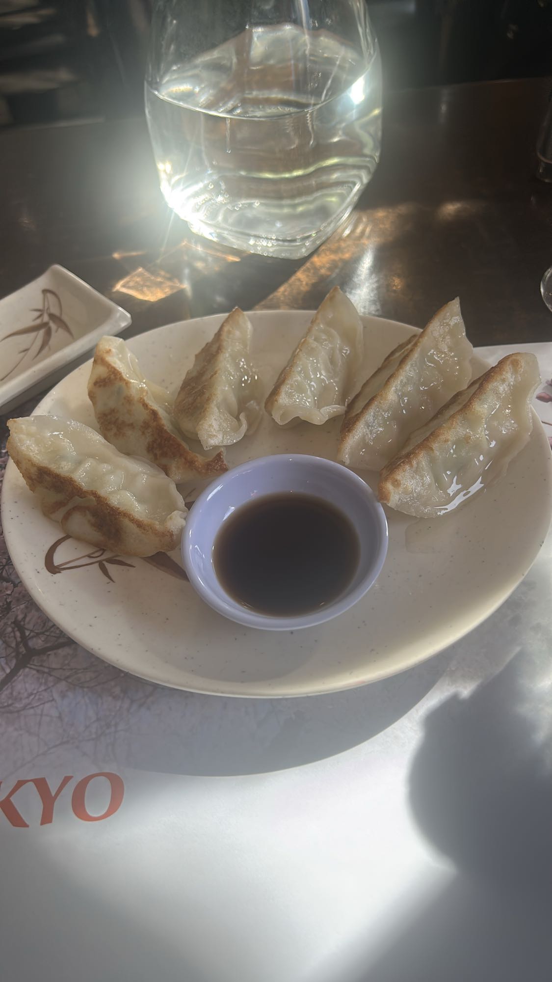 Raviolis japonais (gyoza)