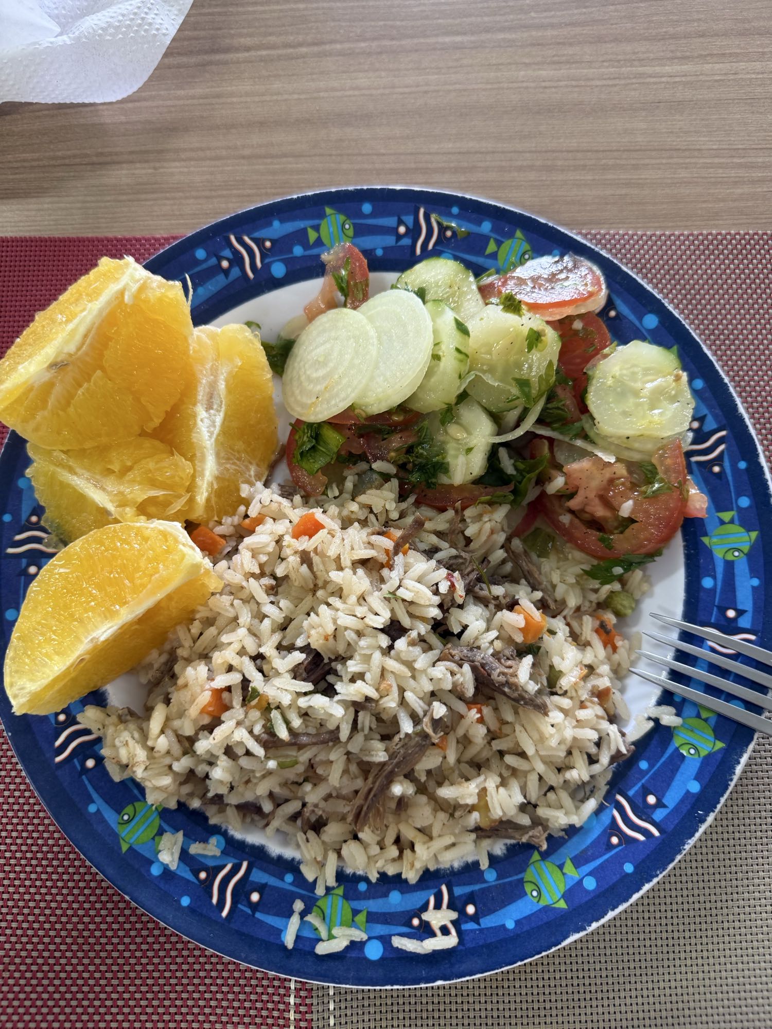 Arroz com carne e salada