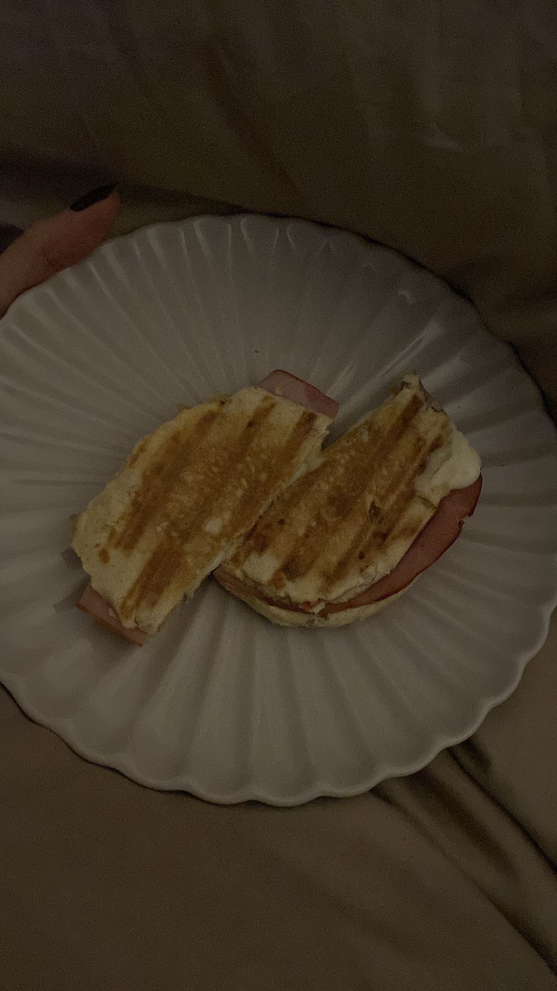 Tost Ekmeği Sandviç