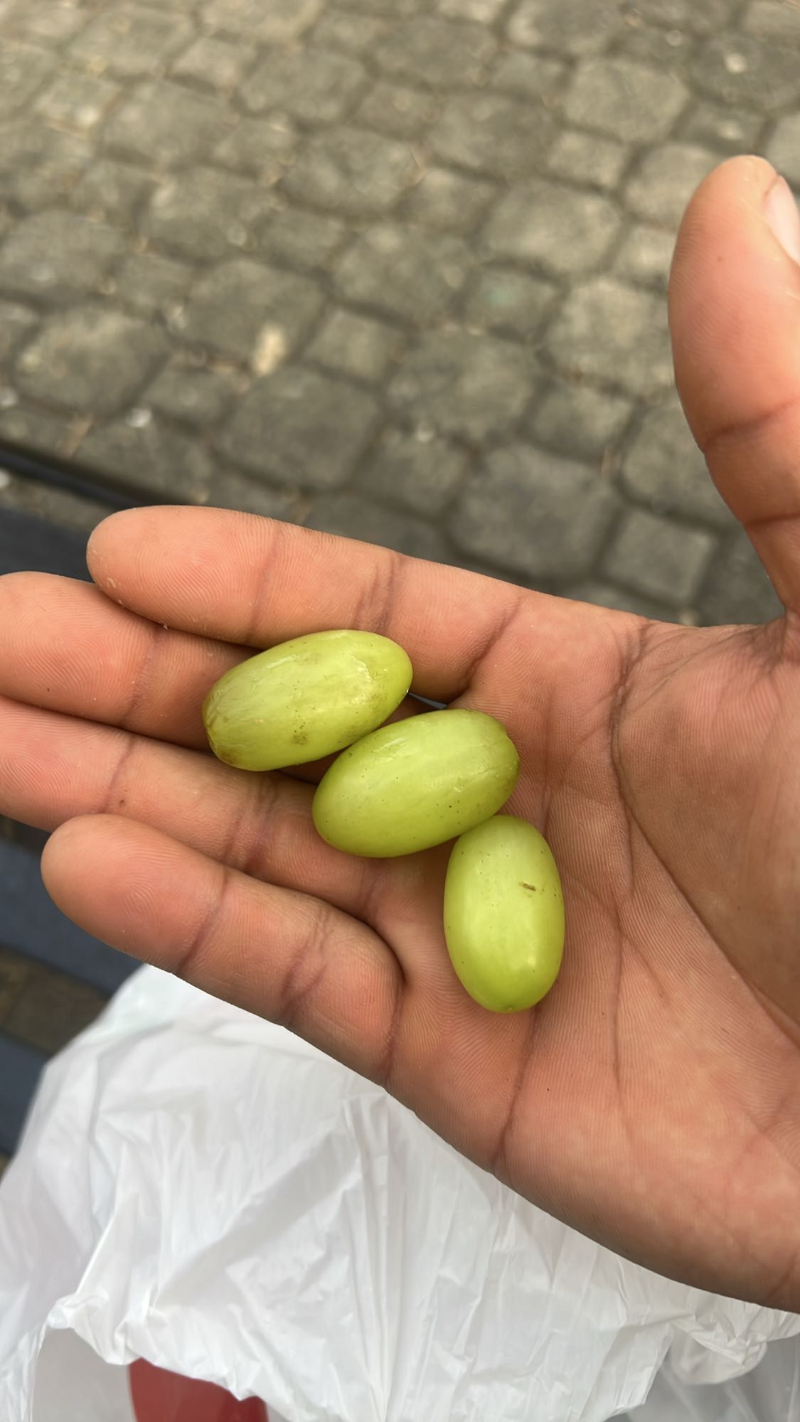 uvas verdes frescas