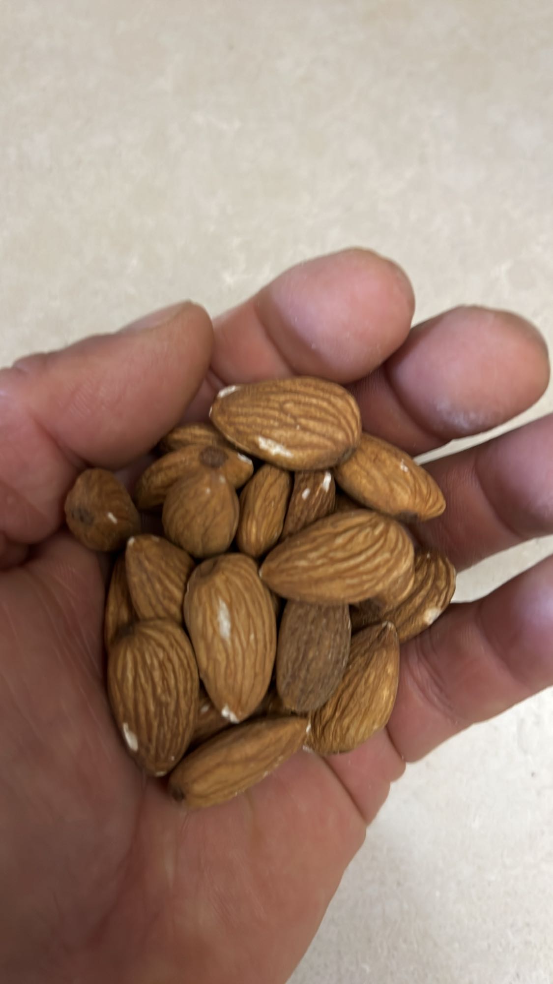 Handful of Almonds