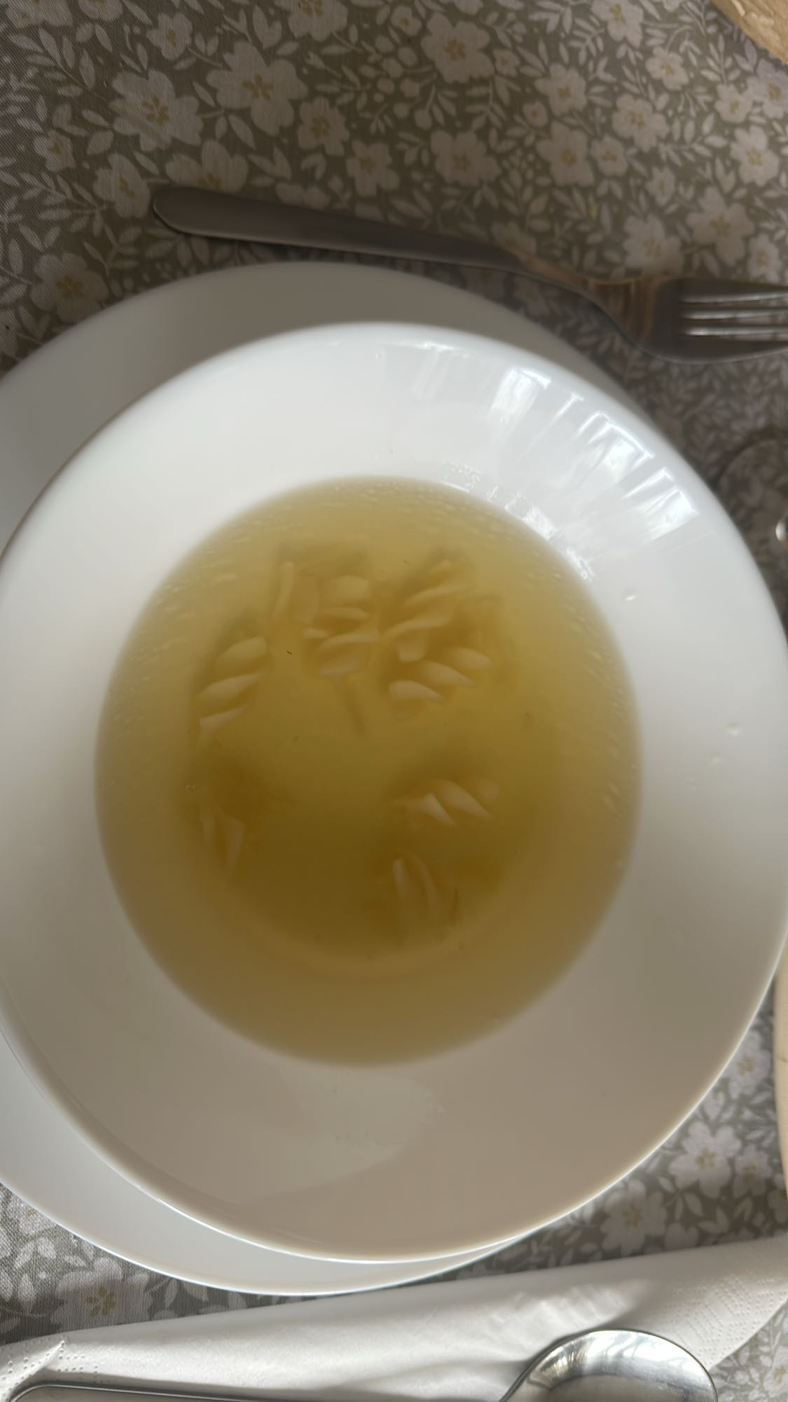 Pasta noodle broth soup