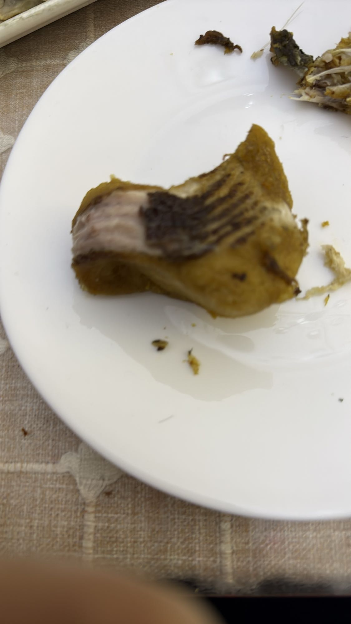 жареная рыба кусок