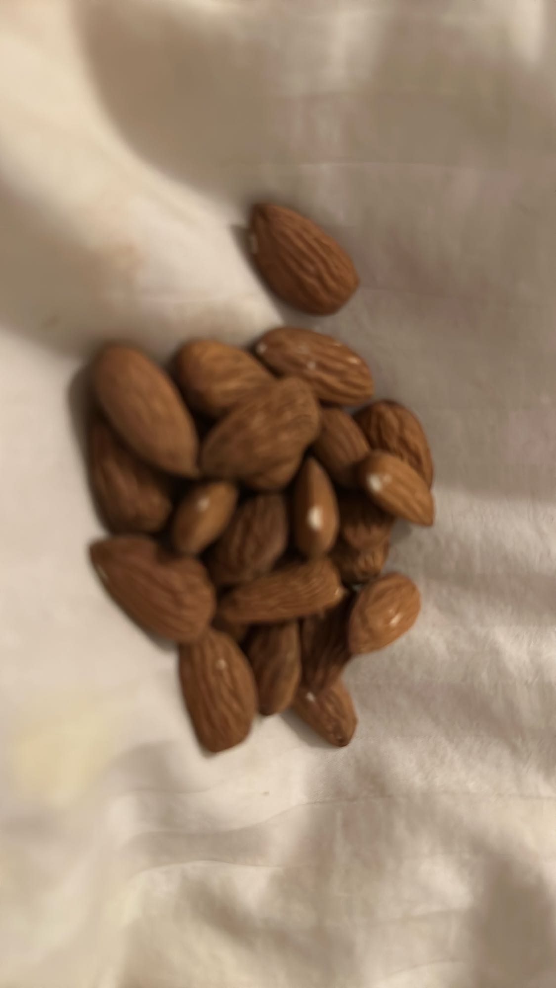 Raw Almond Snack