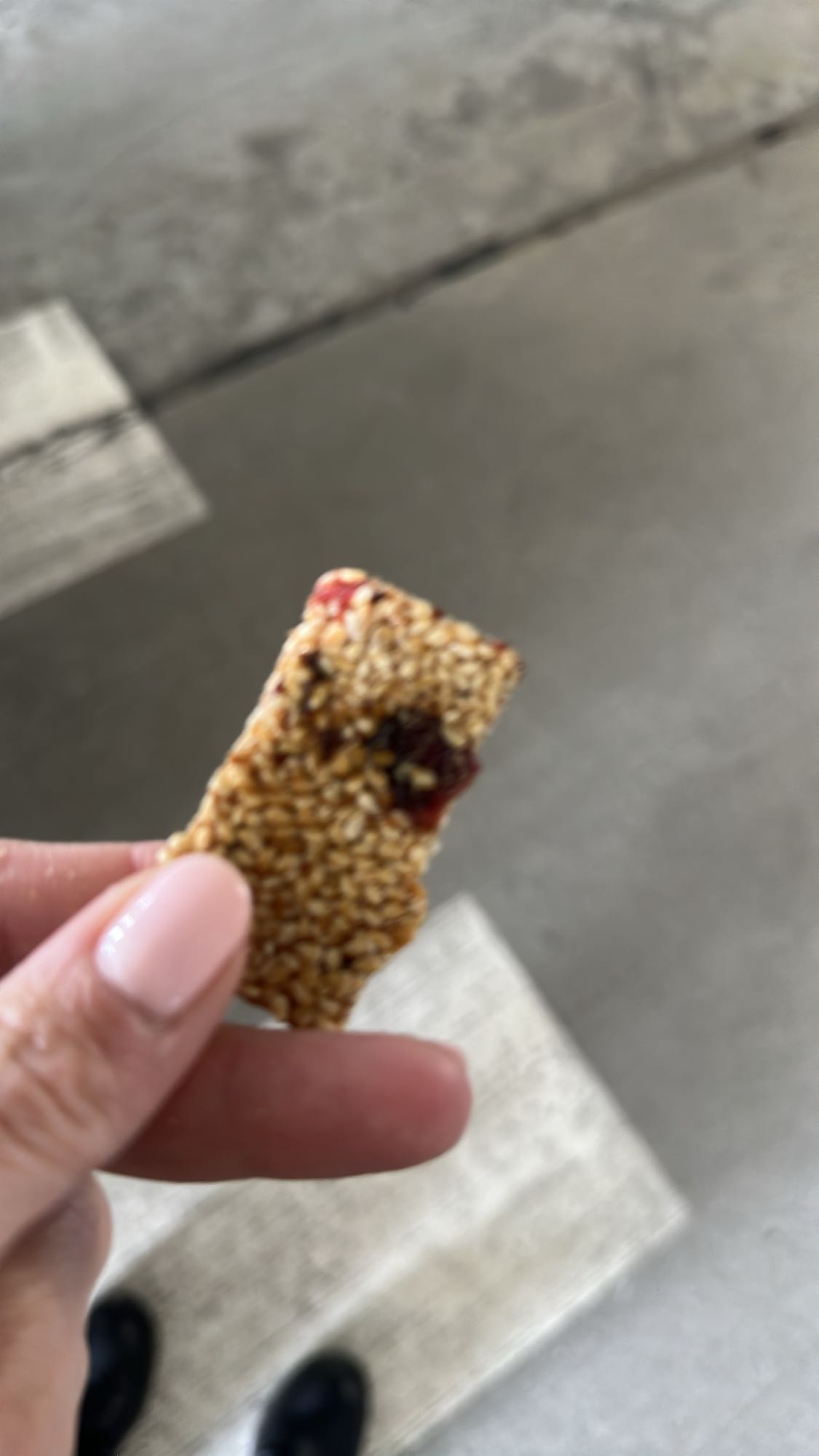sesame fruit snack bar